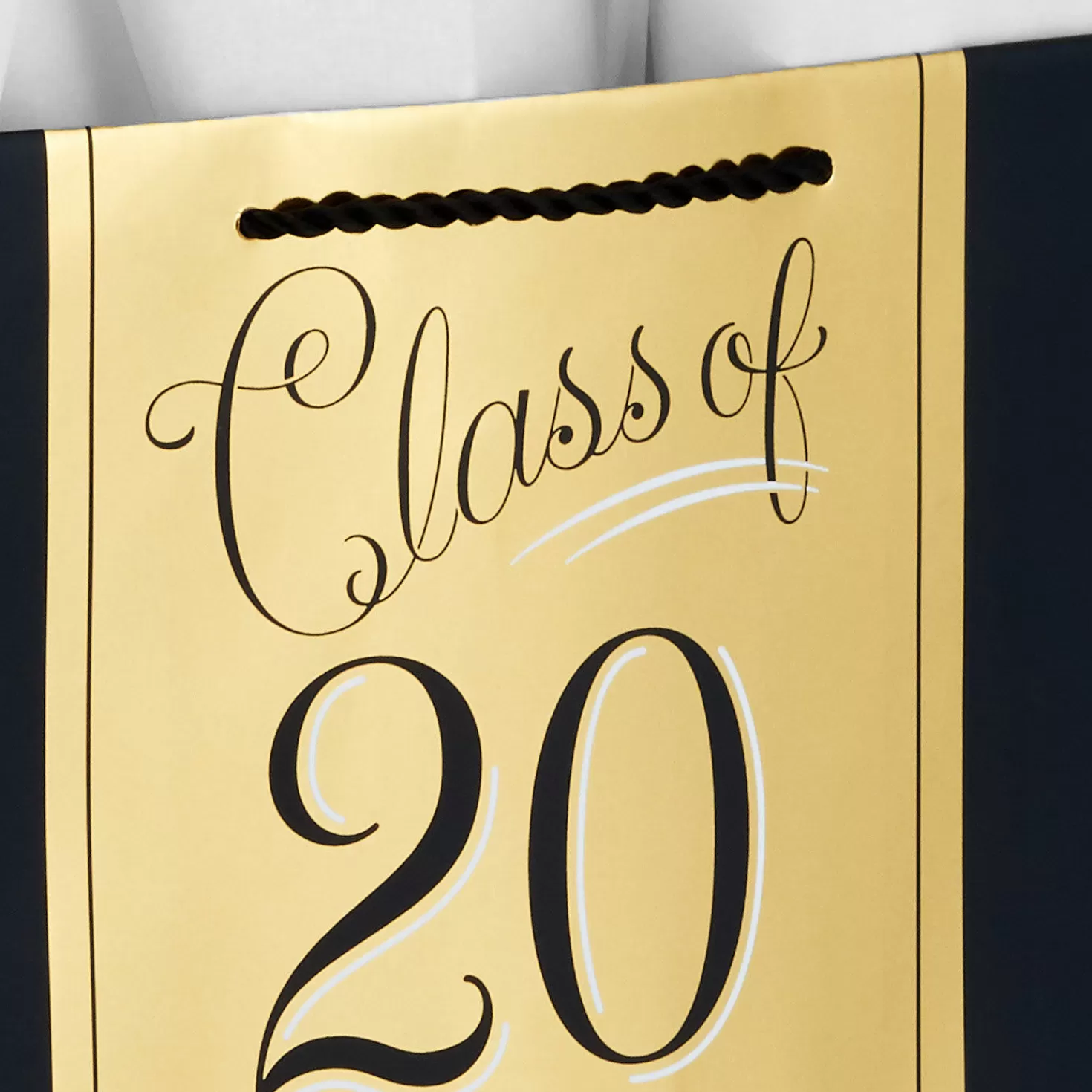 Online 13" Assorted Grad Designs 3-Pack Large Gift Bags With Tissue Paper Graduation