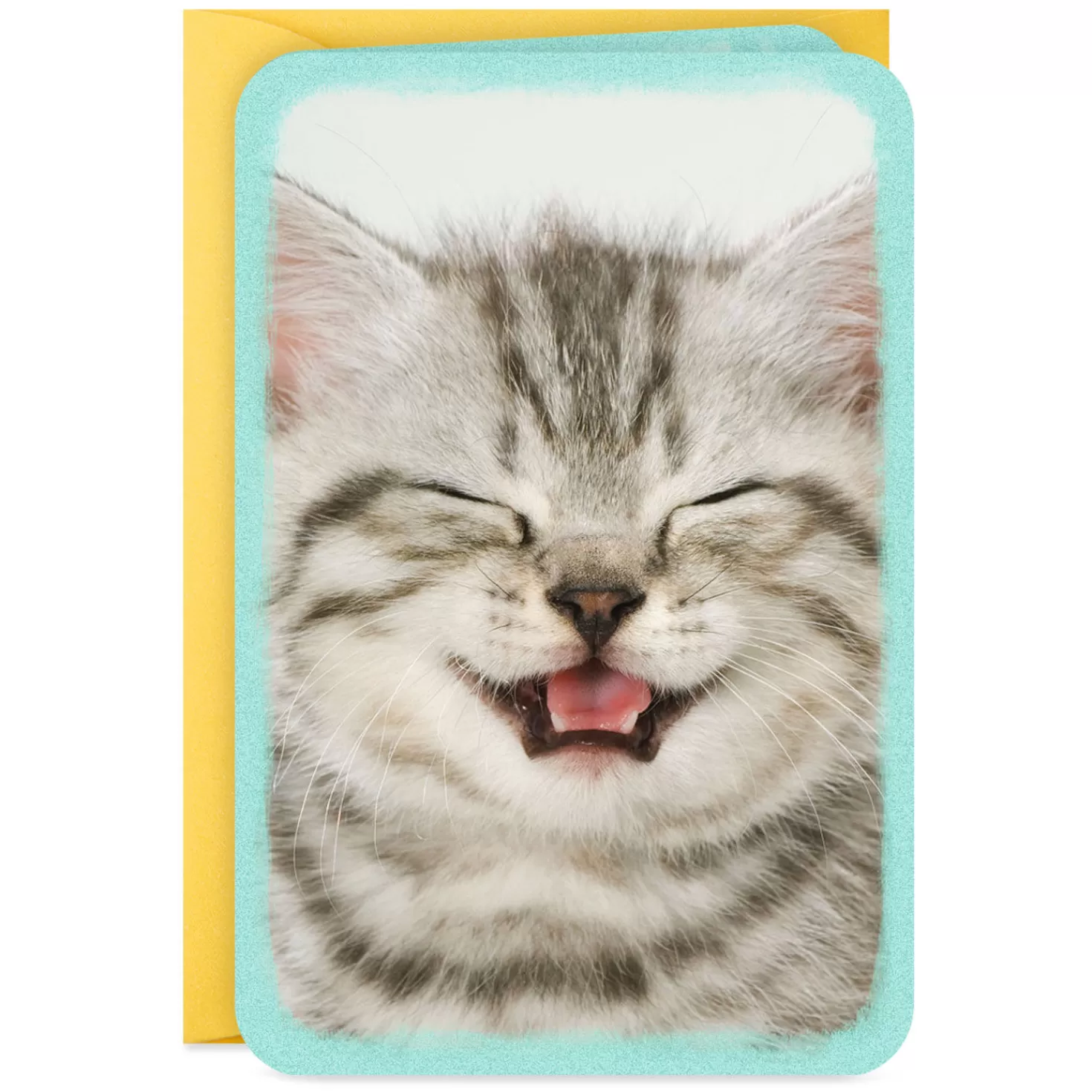 Online 3.25" Mini Cute Kitten Blank Card Encouragement