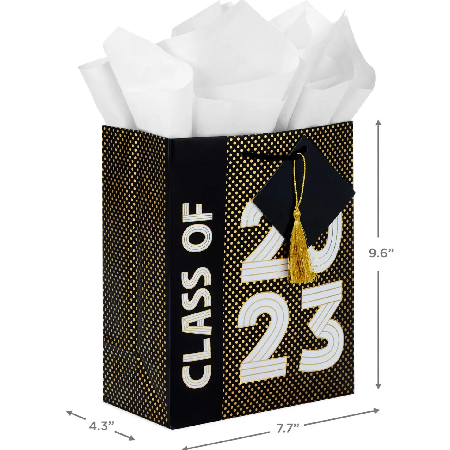 Store 9.6" Class Of 2023 Medium Graduation Gift Bag With Tissue Paper Graduation