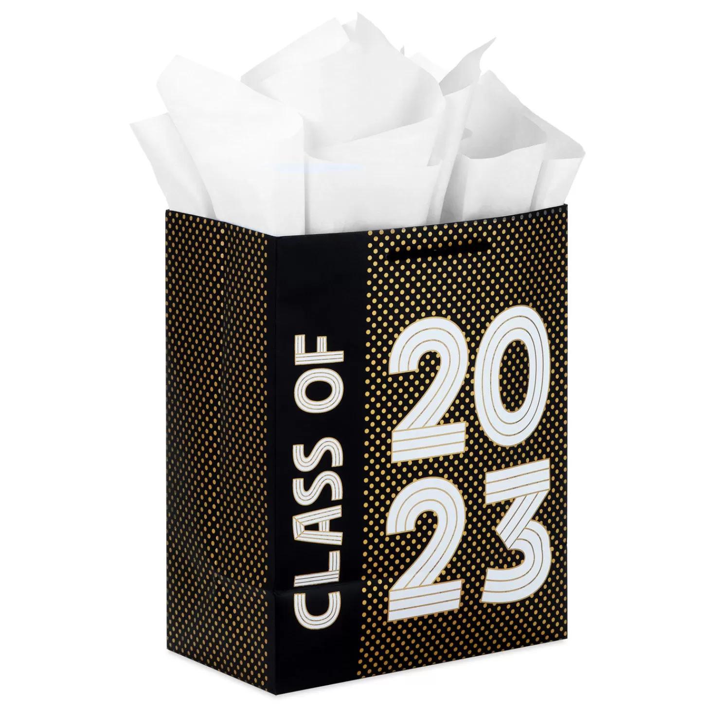 Store 9.6" Class Of 2023 Medium Graduation Gift Bag With Tissue Paper Graduation