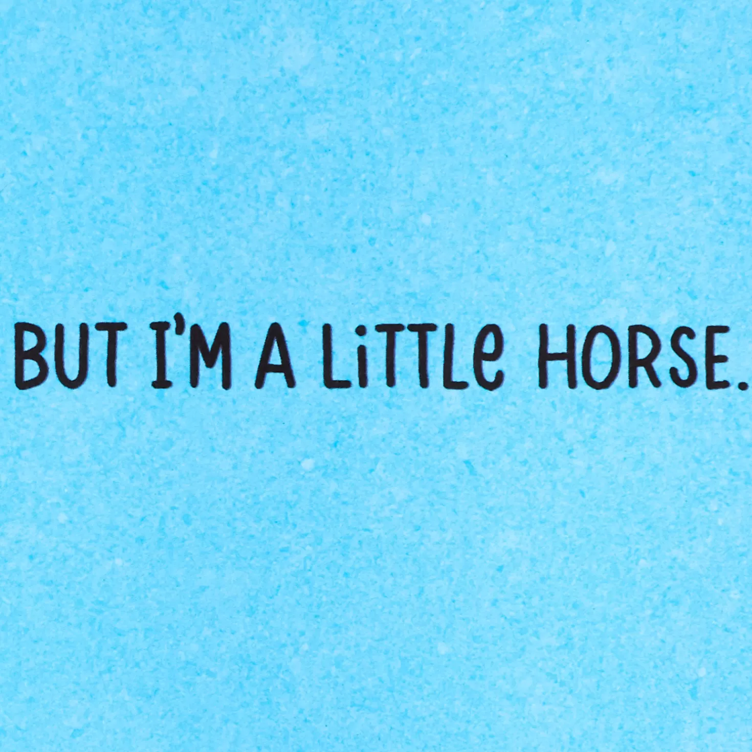 Birthday>Hallmark A Little Horse Funny Birthday Card