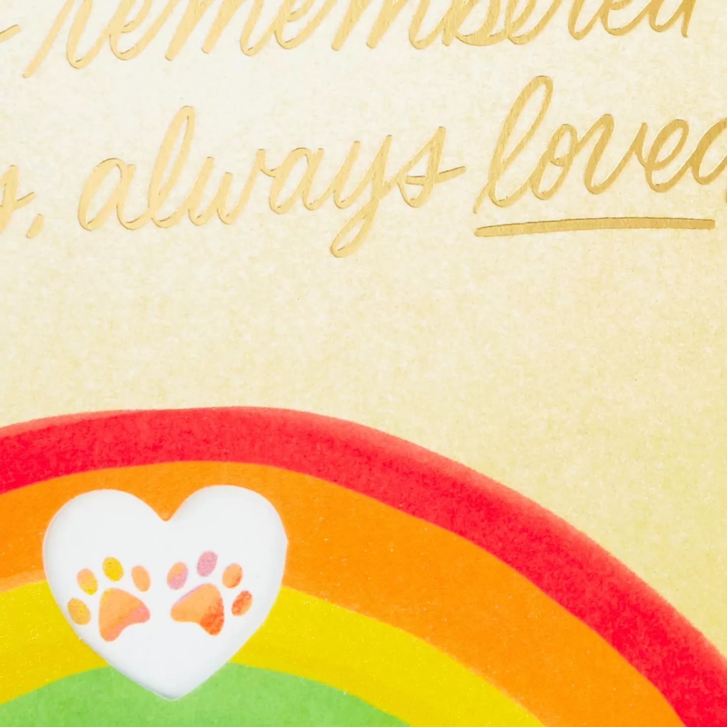 Clearance Always Remembered, Always Loved Sympathy Card For Loss Of Dog Sympathy