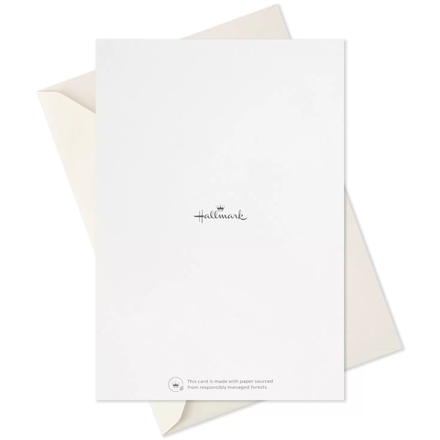 Fashion Assorted Abstract Nature Designs Boxed Sympathy Cards, Pack Of 16 Sympathy