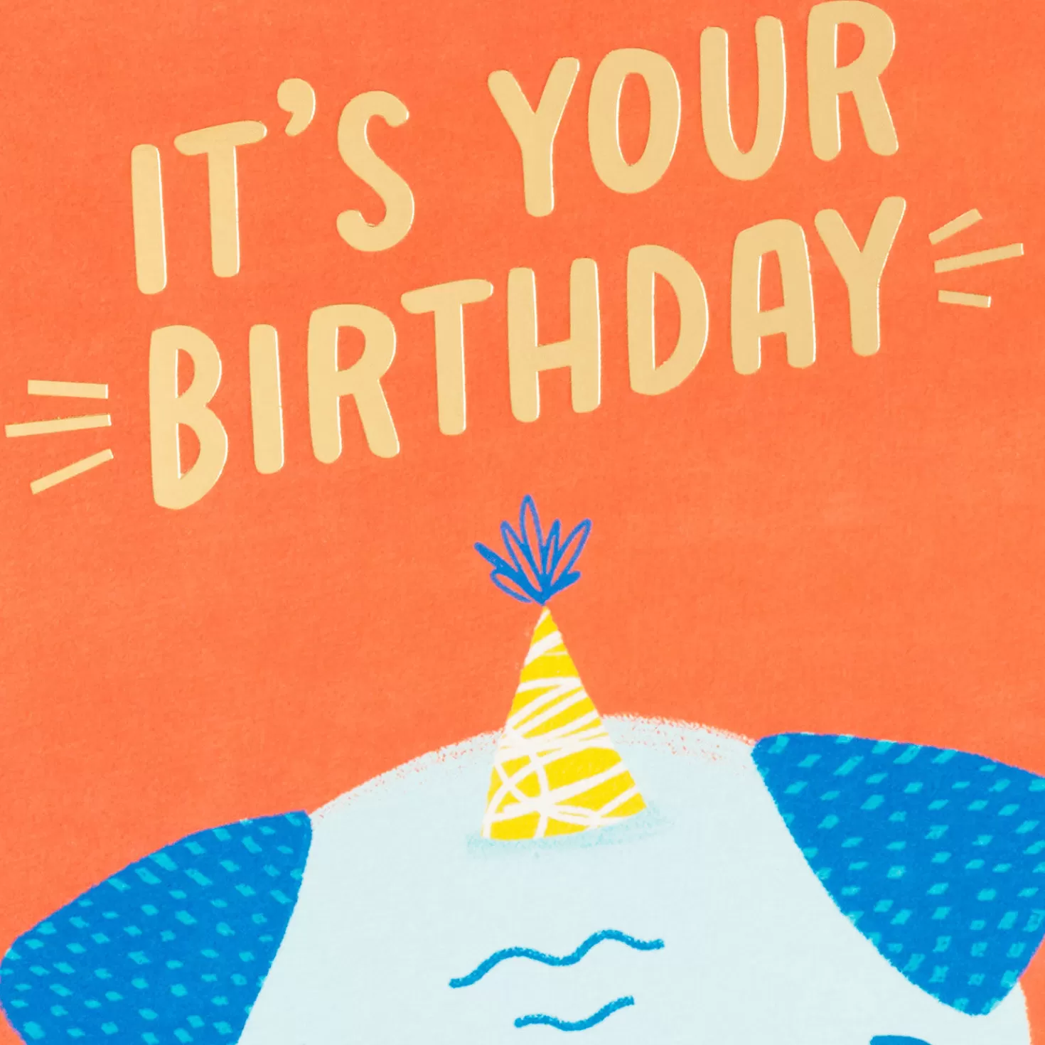 Birthday>Hallmark Assorted Fun Illustrations Birthday Cards, Pack Of 12