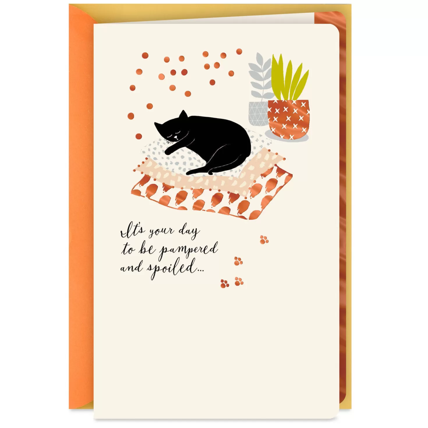 Birthday>Hallmark Be Pampered And Spoiled Birthday Card From The Cat