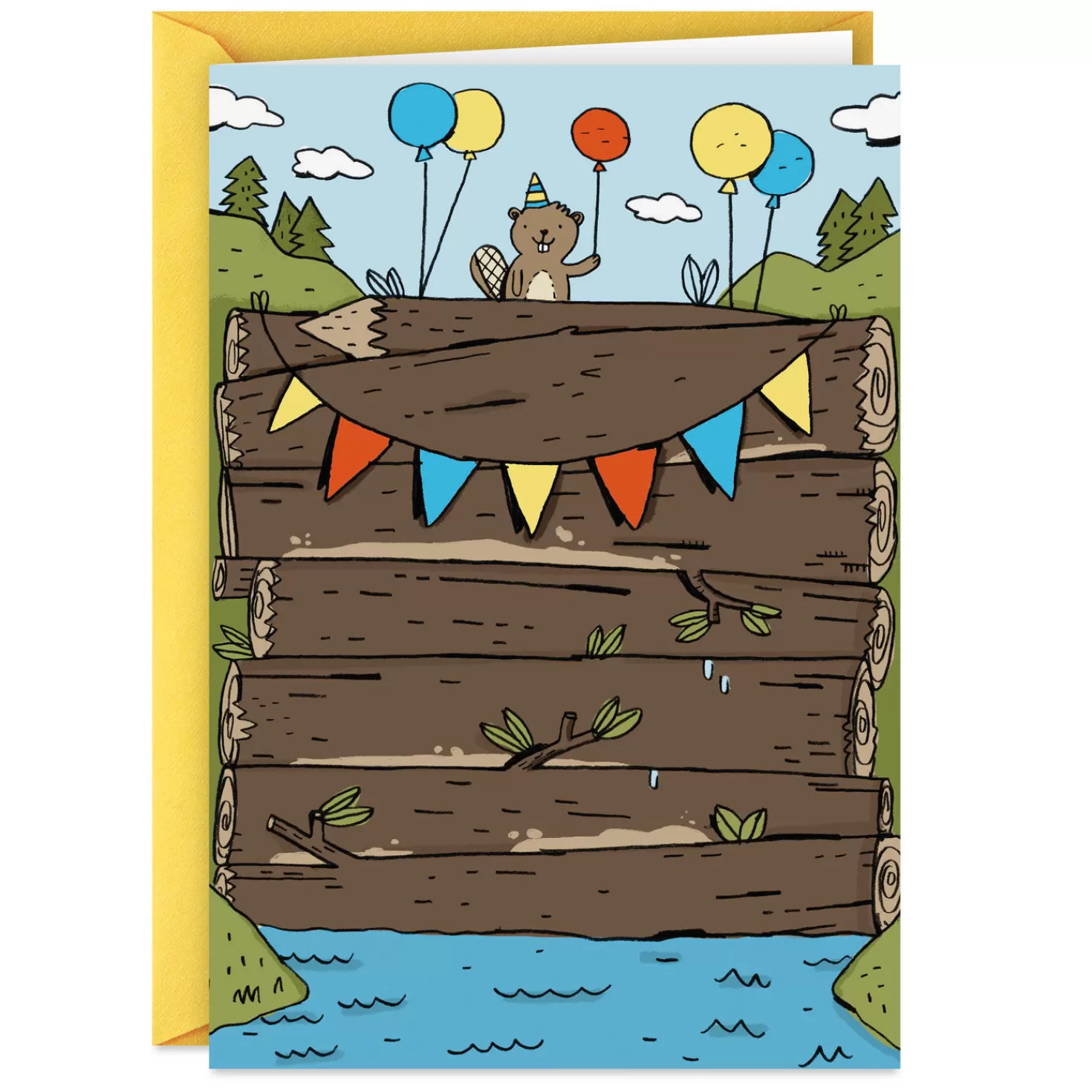 Birthday>Hallmark Best Dam Card Funny Birthday Card