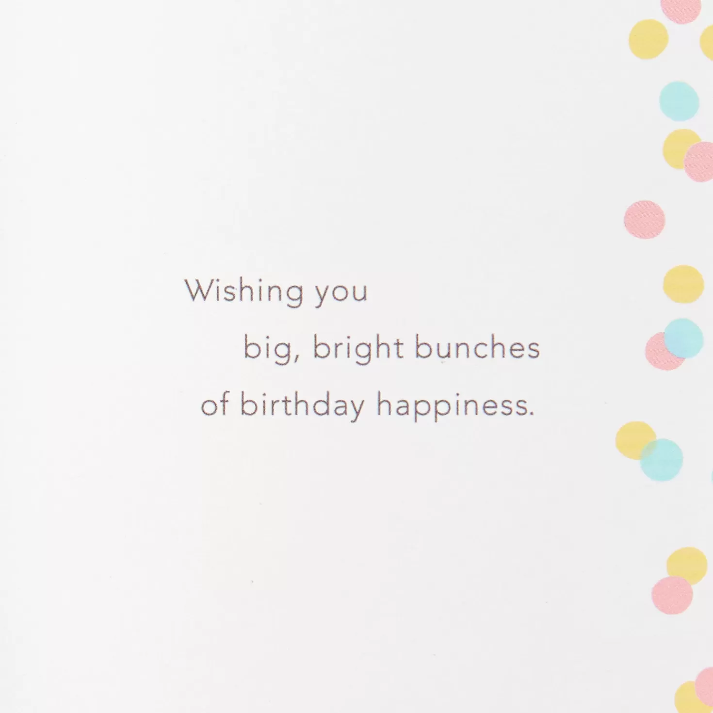 Birthday>Hallmark Big Bunches Of Happiness Birthday Card