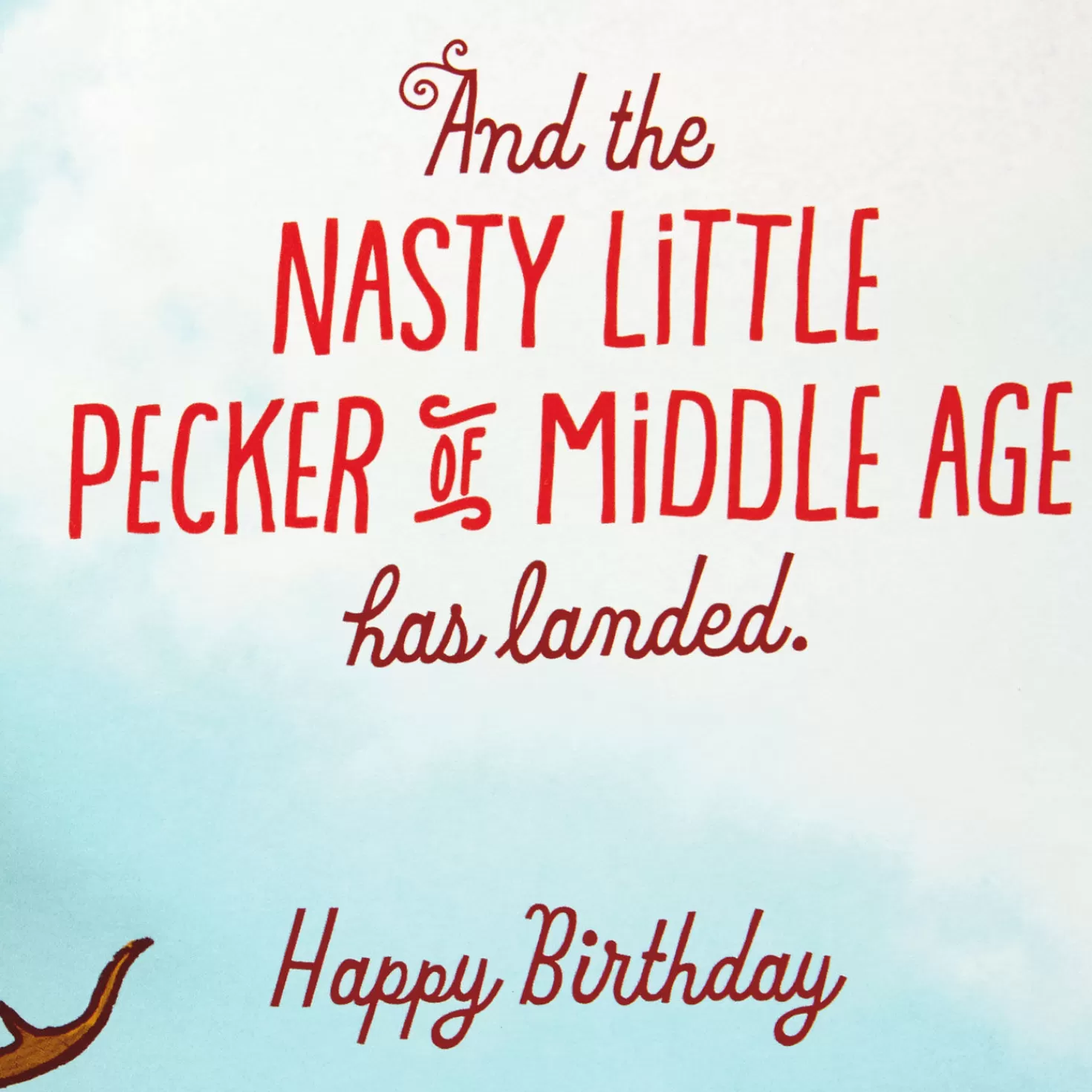 Birthday>Hallmark Bird Of Youth Funny Pop-Up Birthday Card