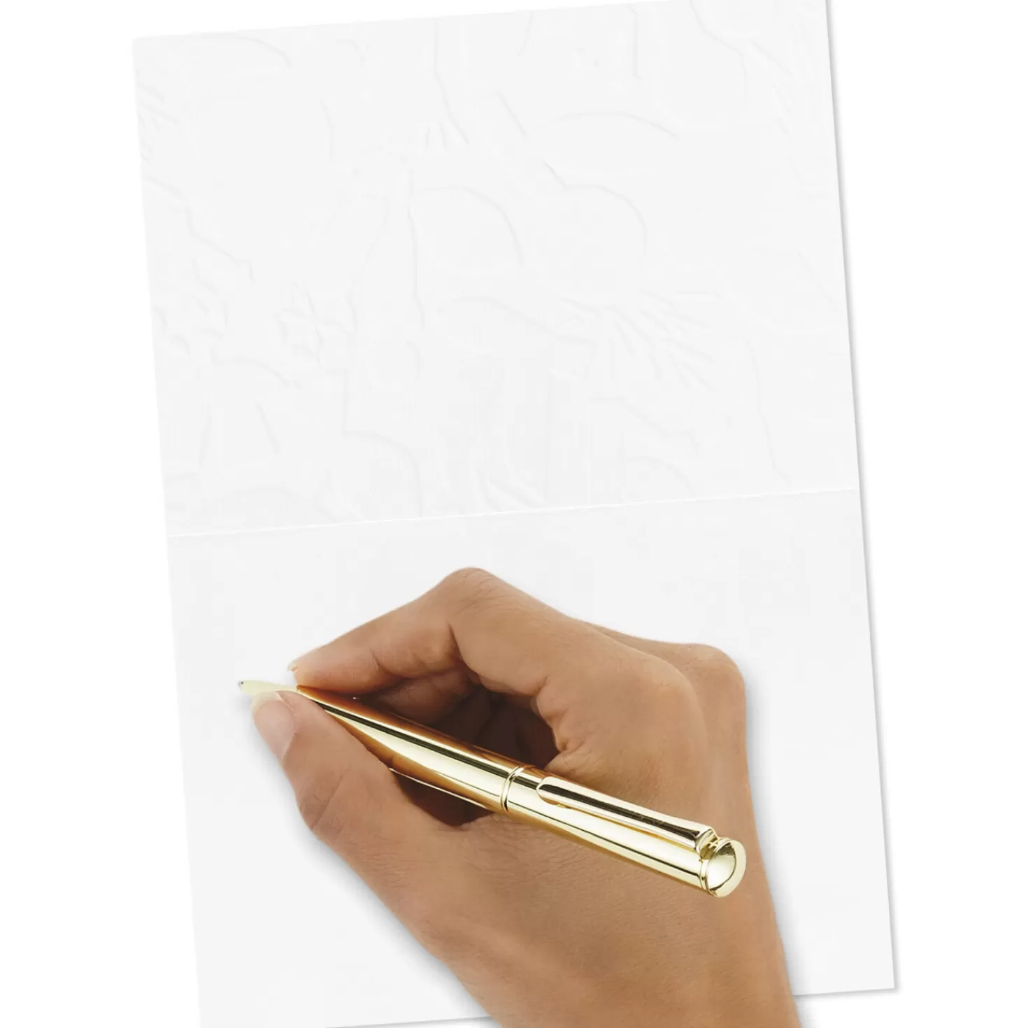 Best Birds And Blooms Boxed Blank Note Cards Multipack, Pack Of 10 Thank You