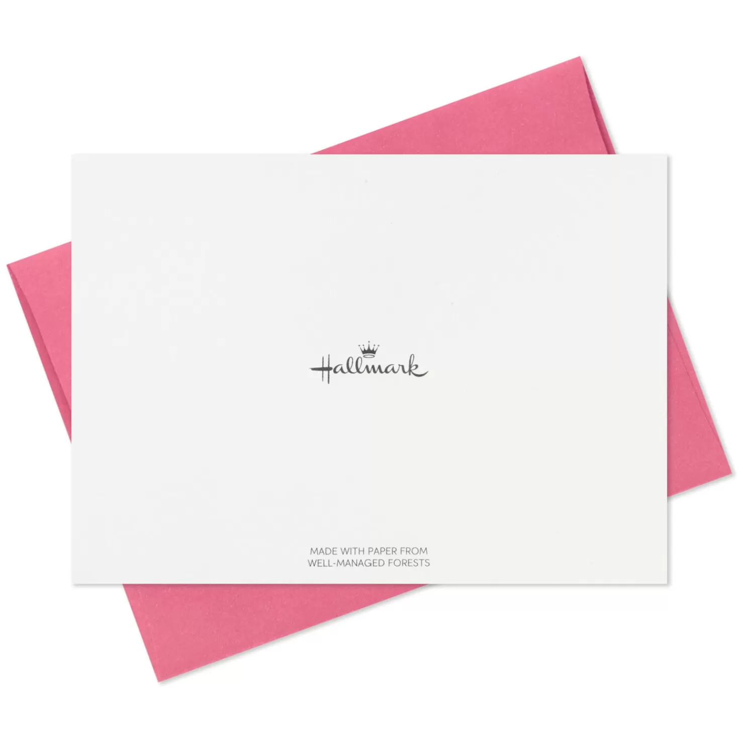 Best Birds And Blooms Boxed Blank Note Cards Multipack, Pack Of 10 Thank You
