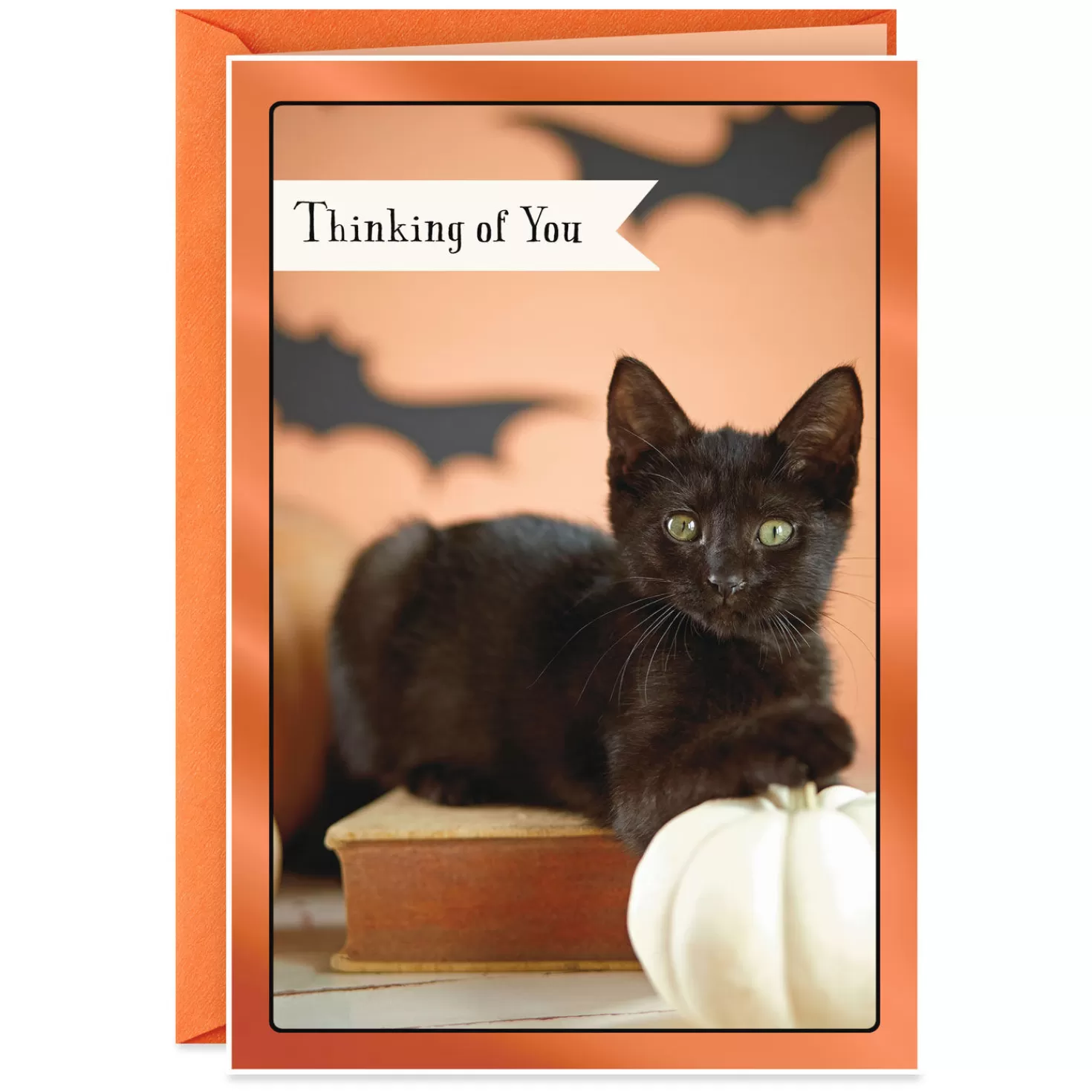 Halloween (10/31)>Hallmark Black Cat Thinking Of You Halloween Card