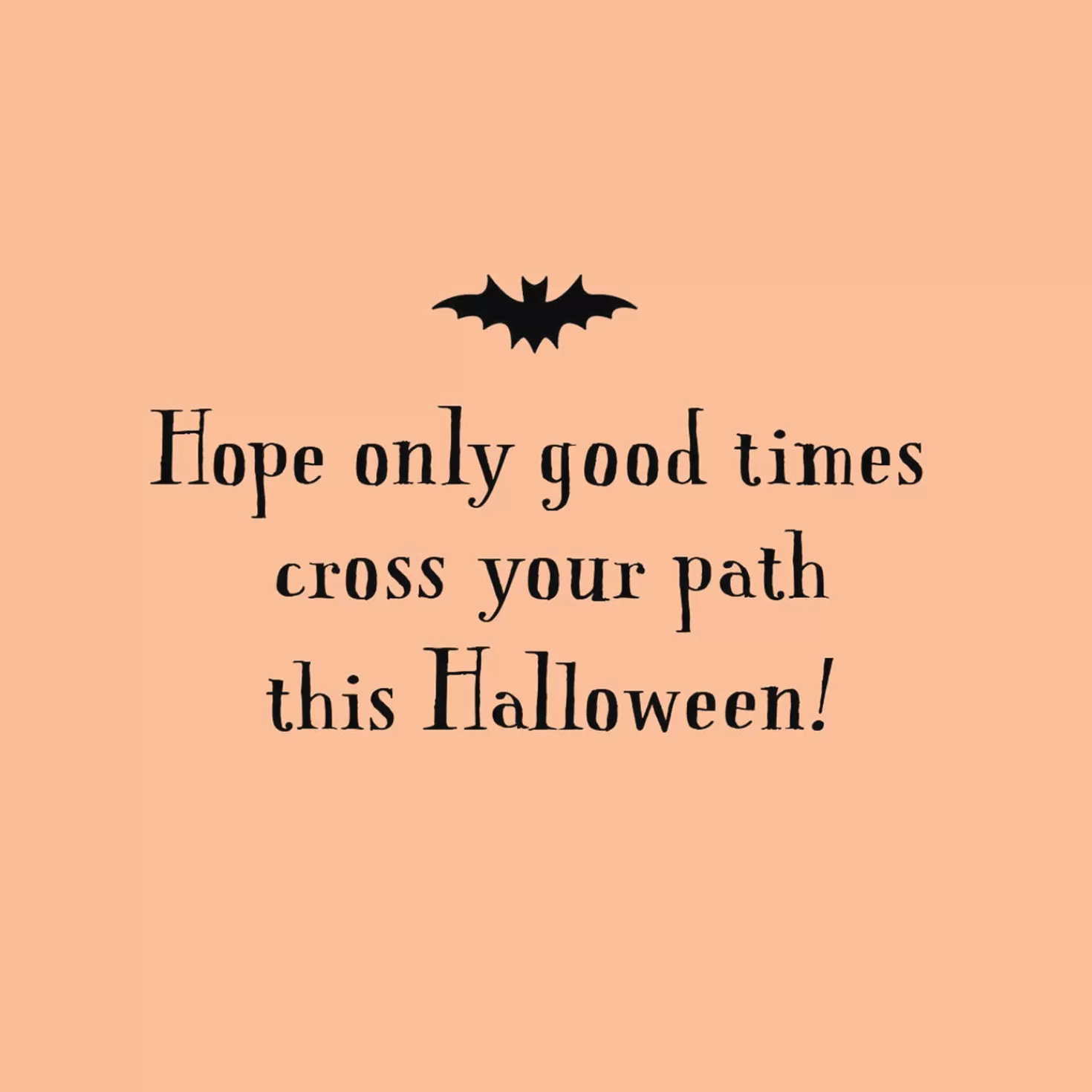 Halloween (10/31)>Hallmark Black Cat Thinking Of You Halloween Card