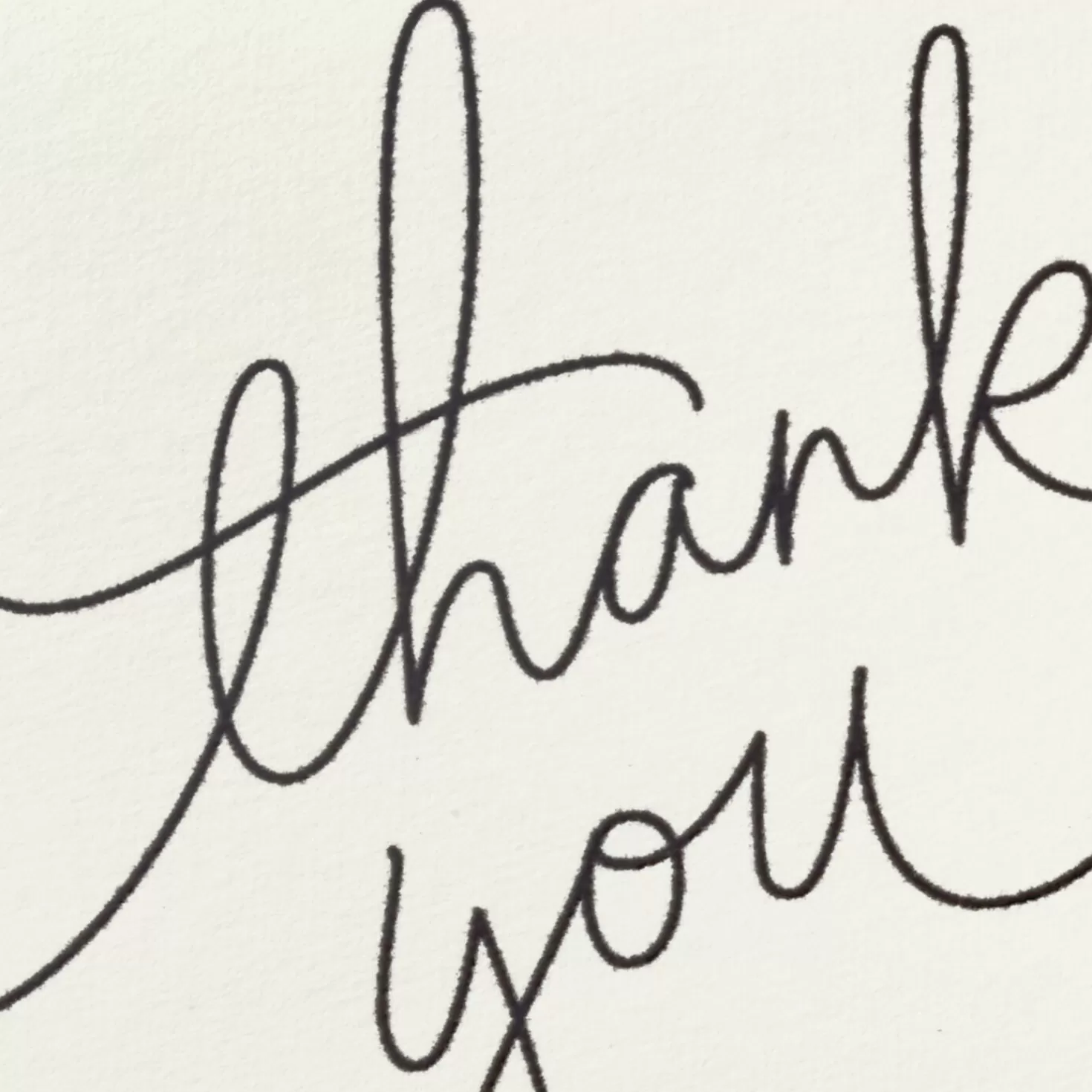 Hot Black Script Bulk Boxed Blank Thank-You Notes, Pack Of 40 Wedding