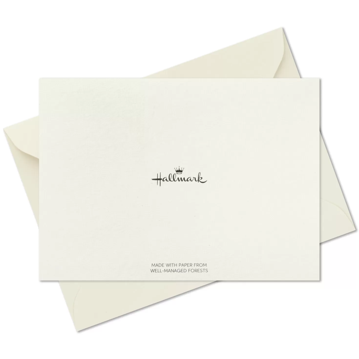Hot Black Script Bulk Boxed Blank Thank-You Notes, Pack Of 40 Wedding