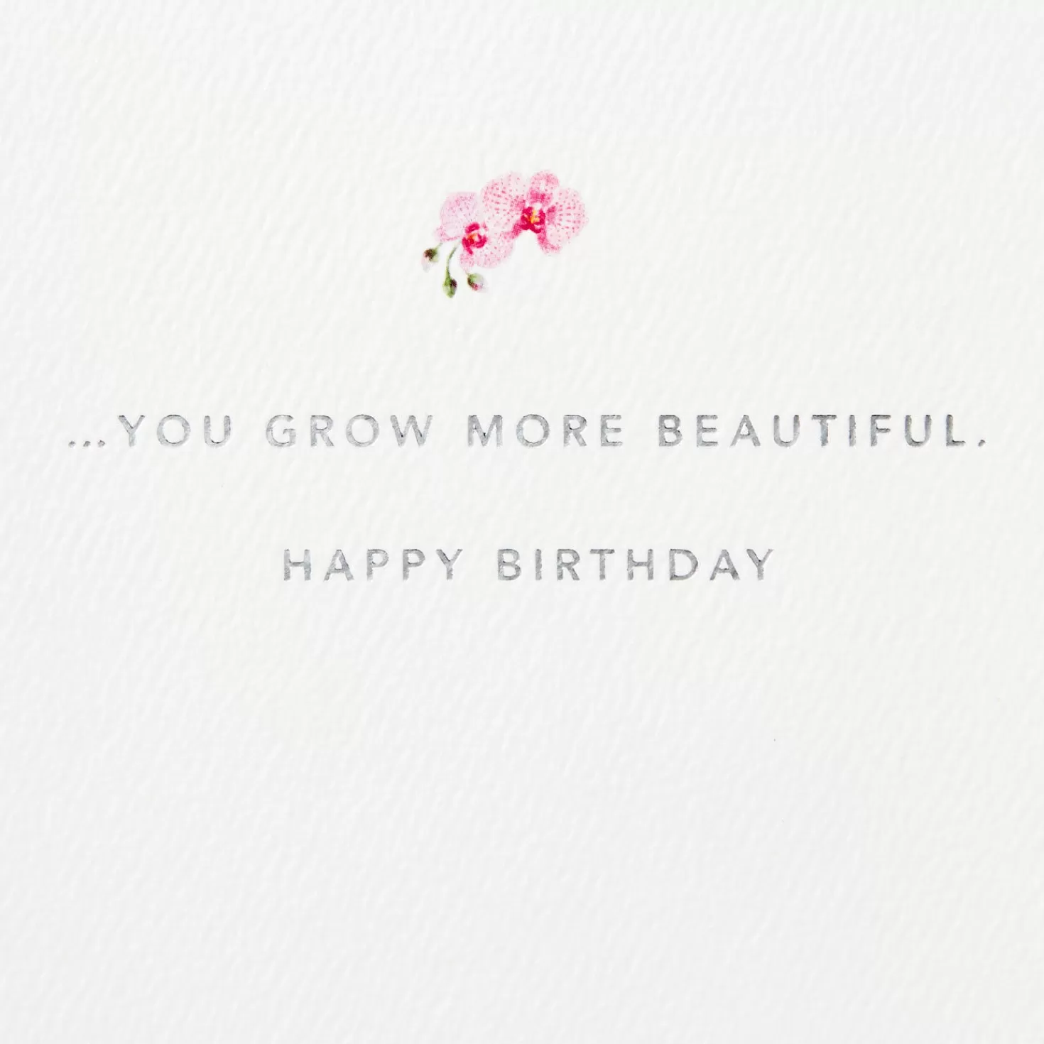Birthday>Hallmark Blooming Orchid Birthday Card
