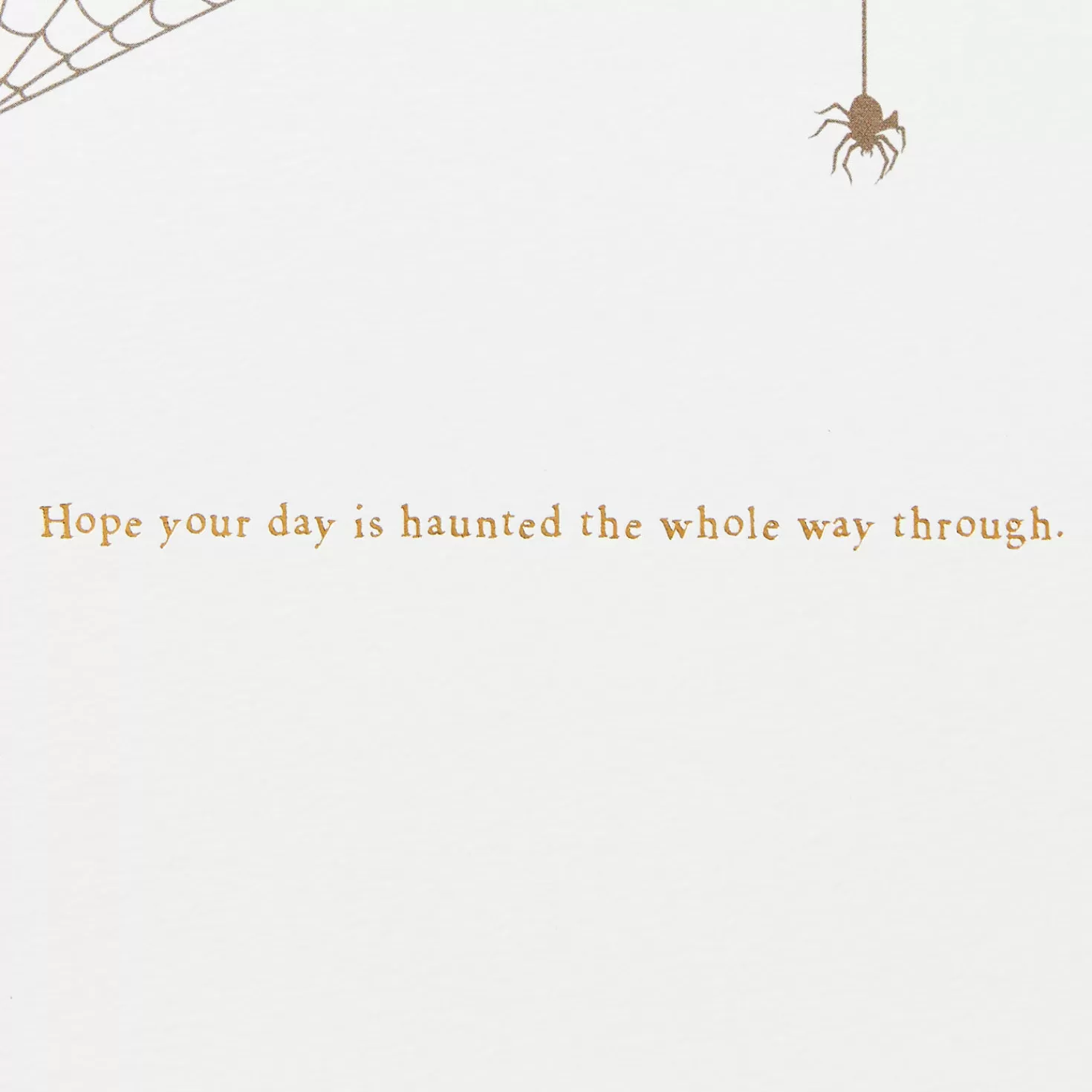 Halloween (10/31)>Hallmark Boo Halloween Card