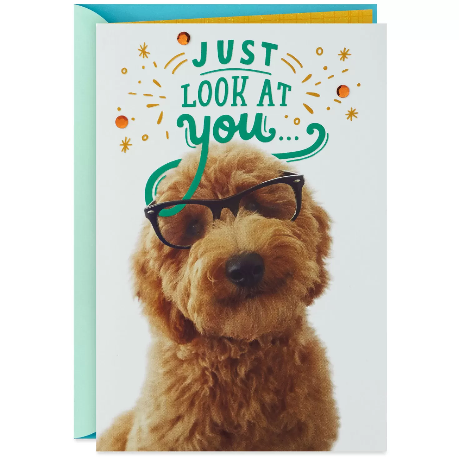 Store Brainiac Puppy Congratulations Card Congratulations