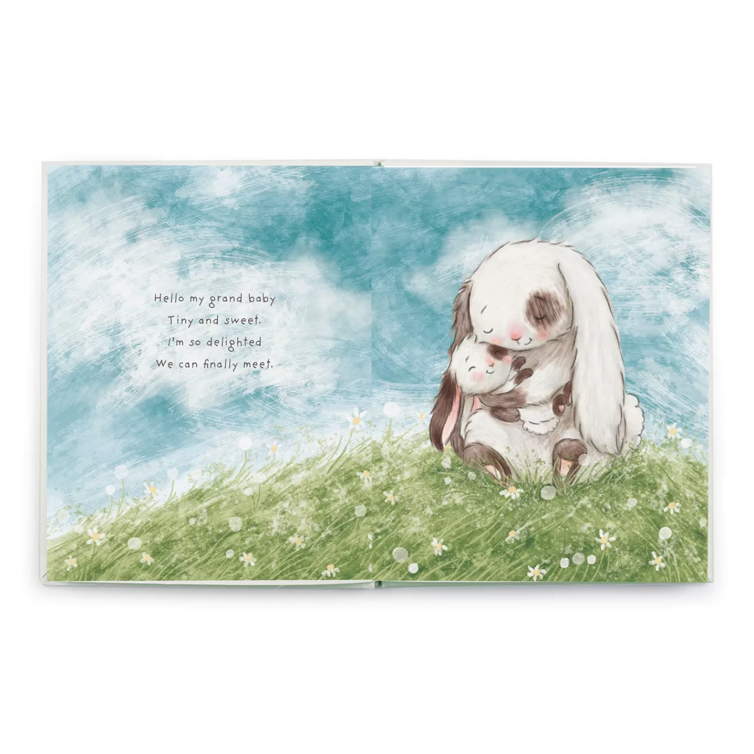 Baby>Hallmark Bunnies By The Bay What Will My Grandchild Call Me? Storybook