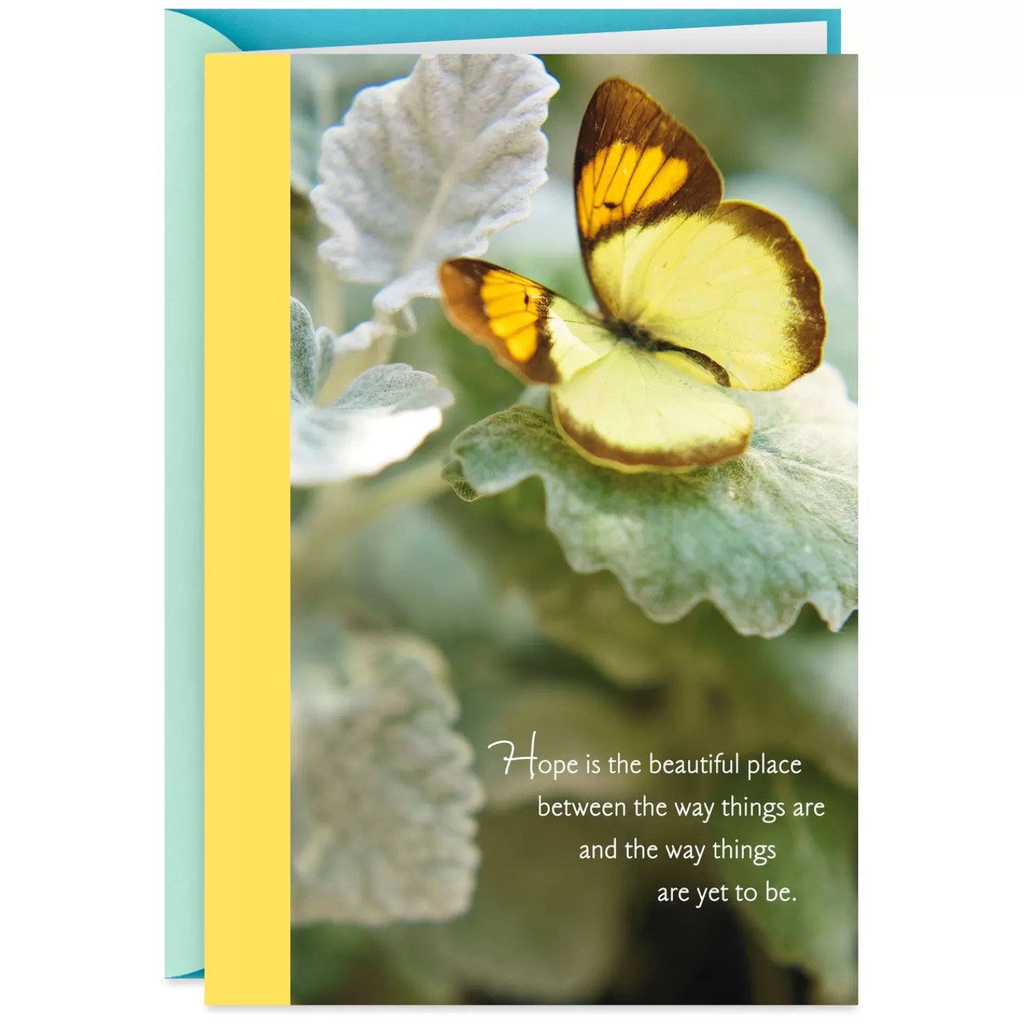 Best Butterfly Of Hope Encouragement Card Encouragement