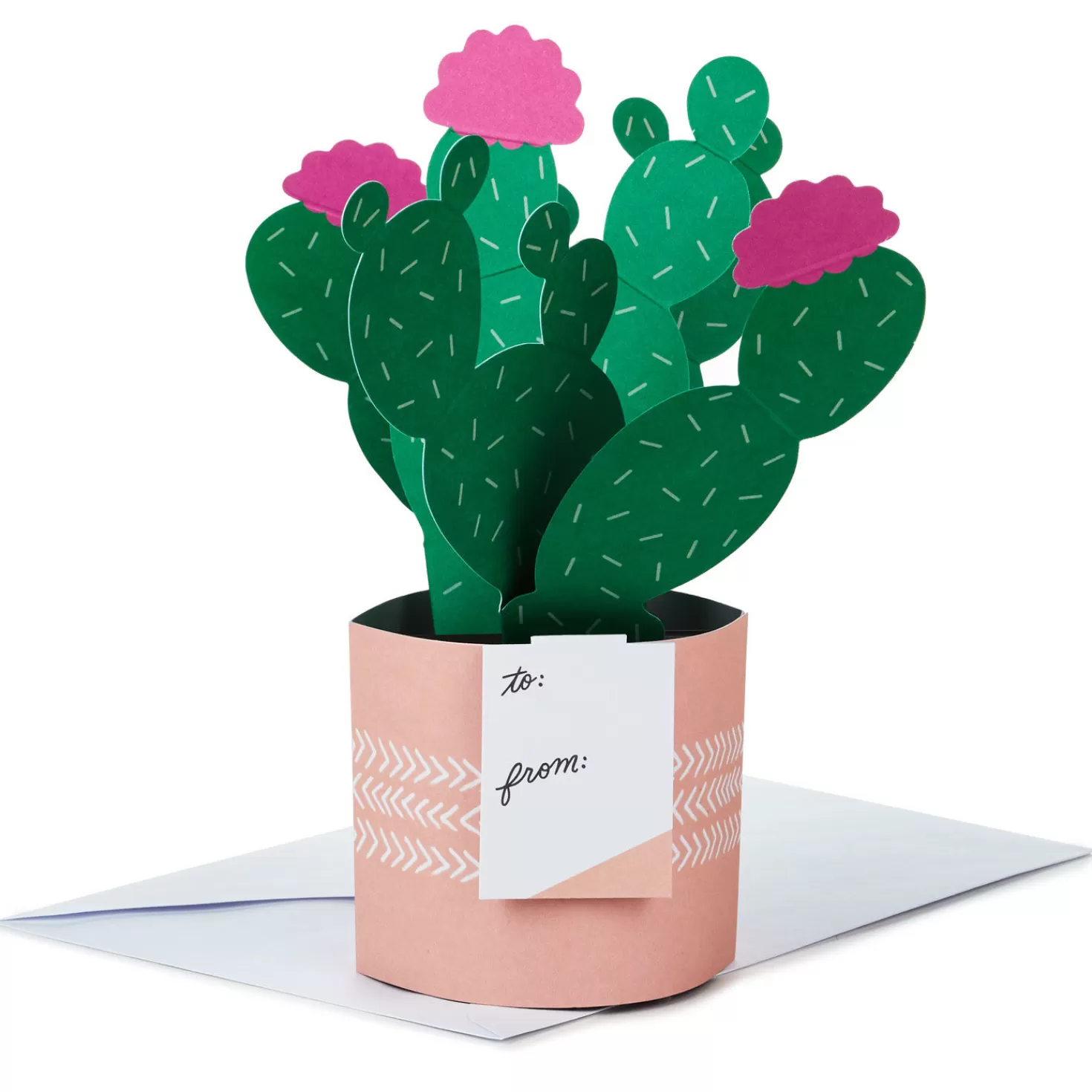 New Cactus Looking Sharp 3D Pop-Up Card Encouragement