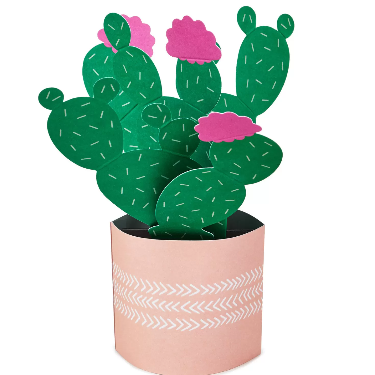 New Cactus Looking Sharp 3D Pop-Up Card Encouragement