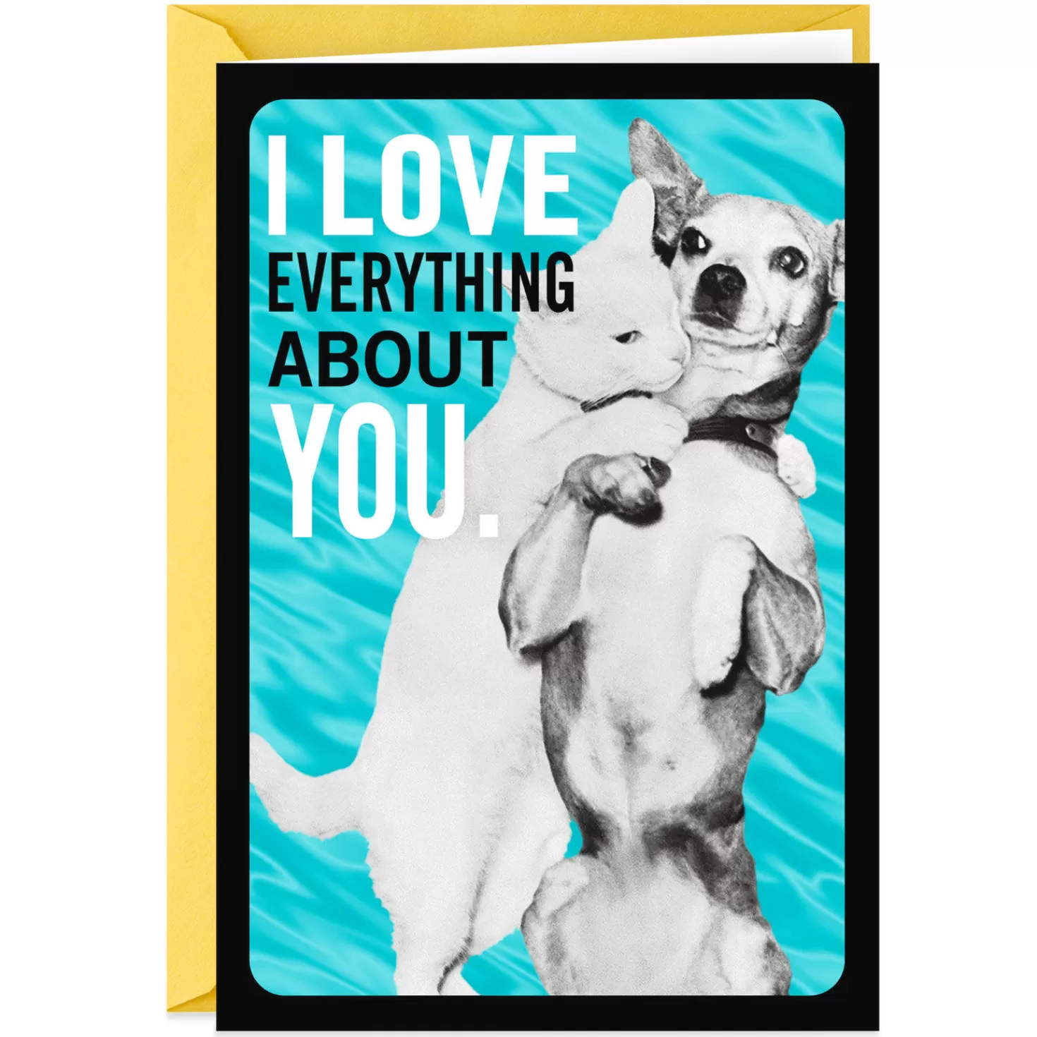 Anniversary>Hallmark Cat And Dog Funny Anniversary Card