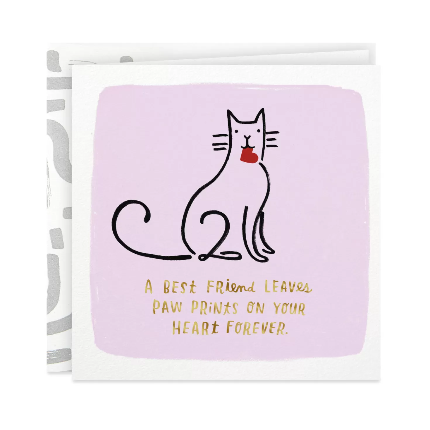 Store Cat Carrying A Heart Sympathy Card For Loss Of Pet Sympathy