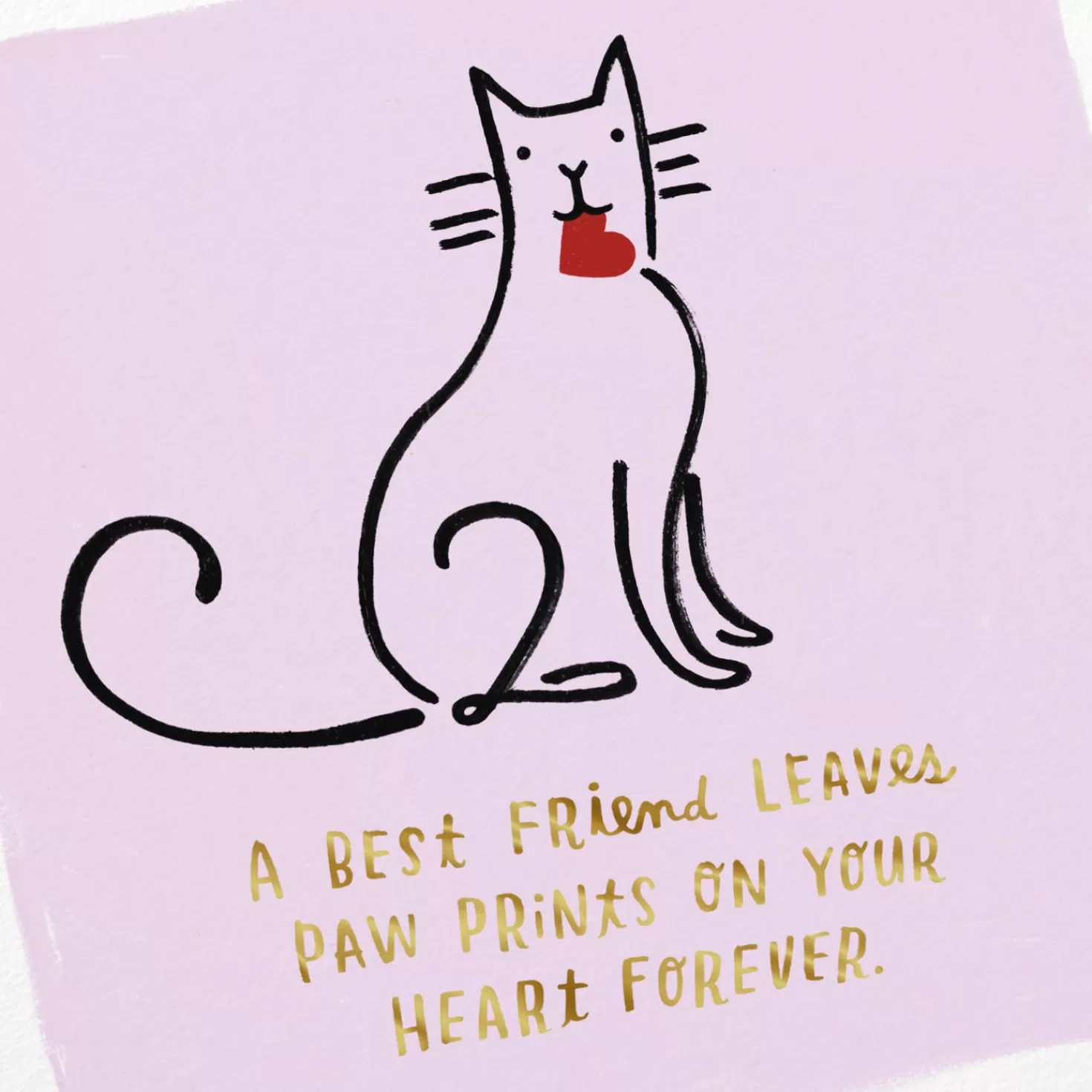 Store Cat Carrying A Heart Sympathy Card For Loss Of Pet Sympathy