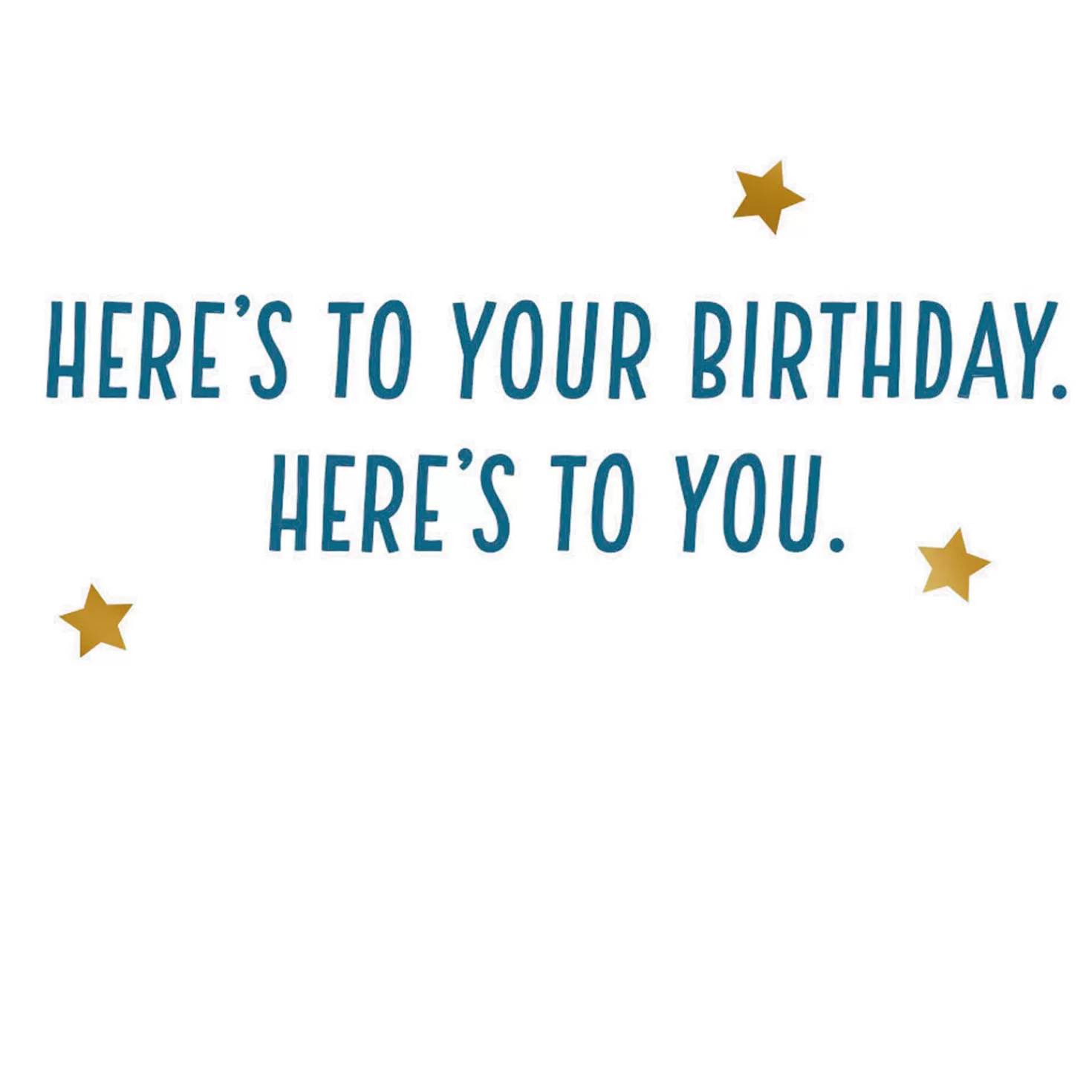 Birthday>Hallmark Cheers To You Video Greeting Birthday Card