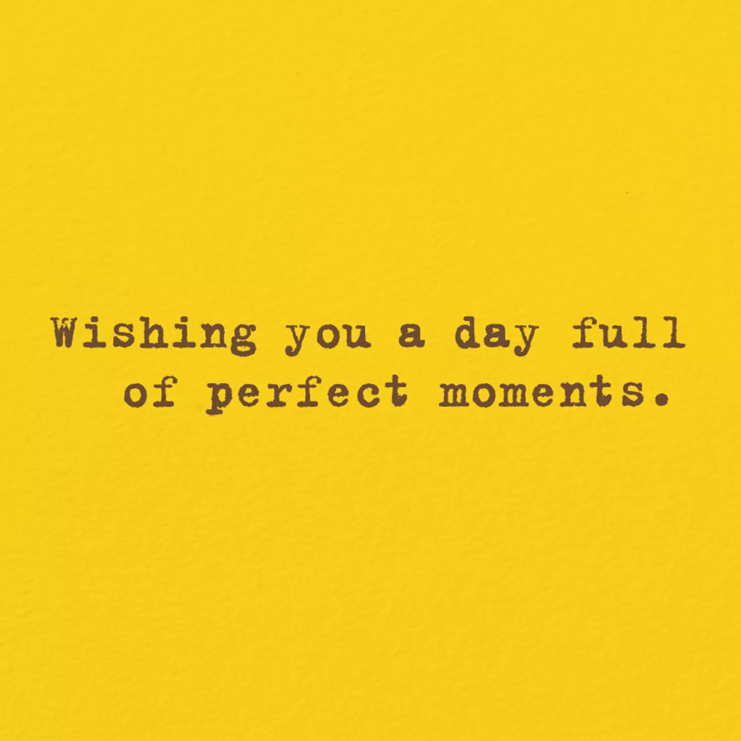 Best Chocolate Lab Perfect Moments Card Encouragement