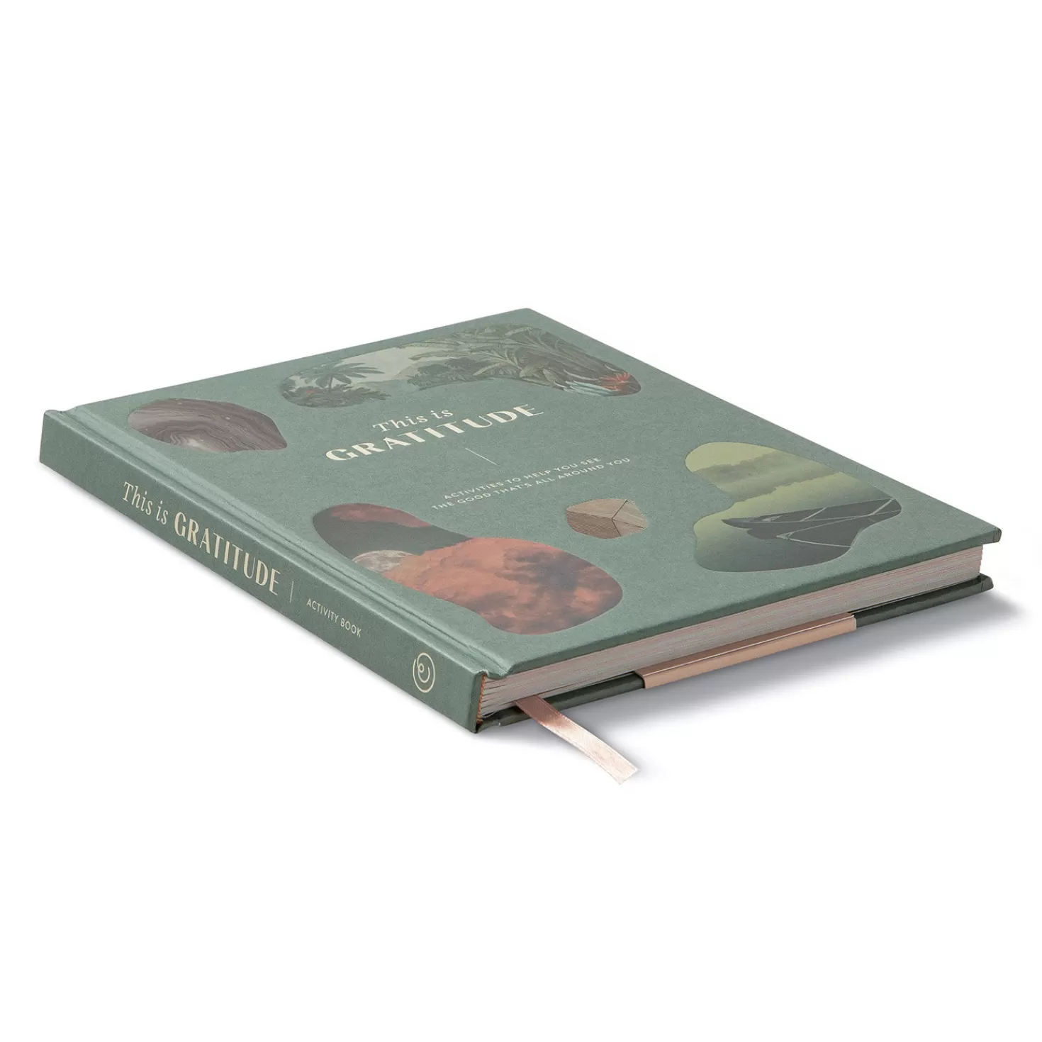 Sale Compendium This Is Gratitude Guided Journal Encouragement