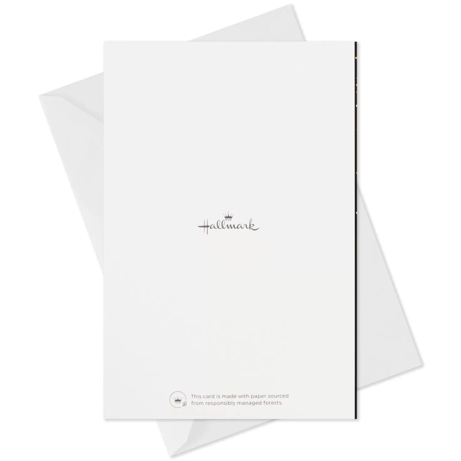 Store Confetti Celebration Assorted Graduation Cards, Pack Of 36 Graduation