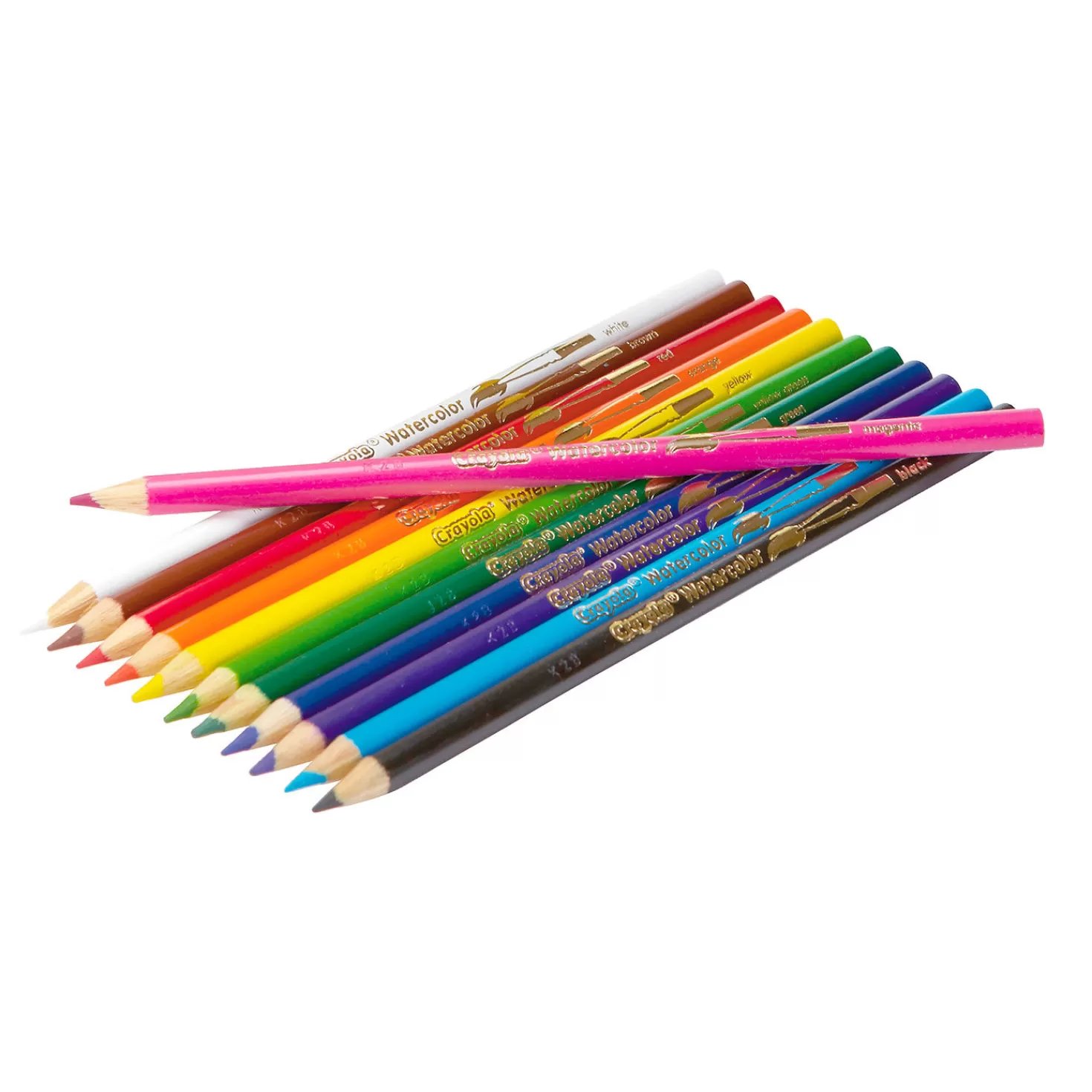 Shop Crayola® Watercolor Colored Pencils, 12-Count Back To School