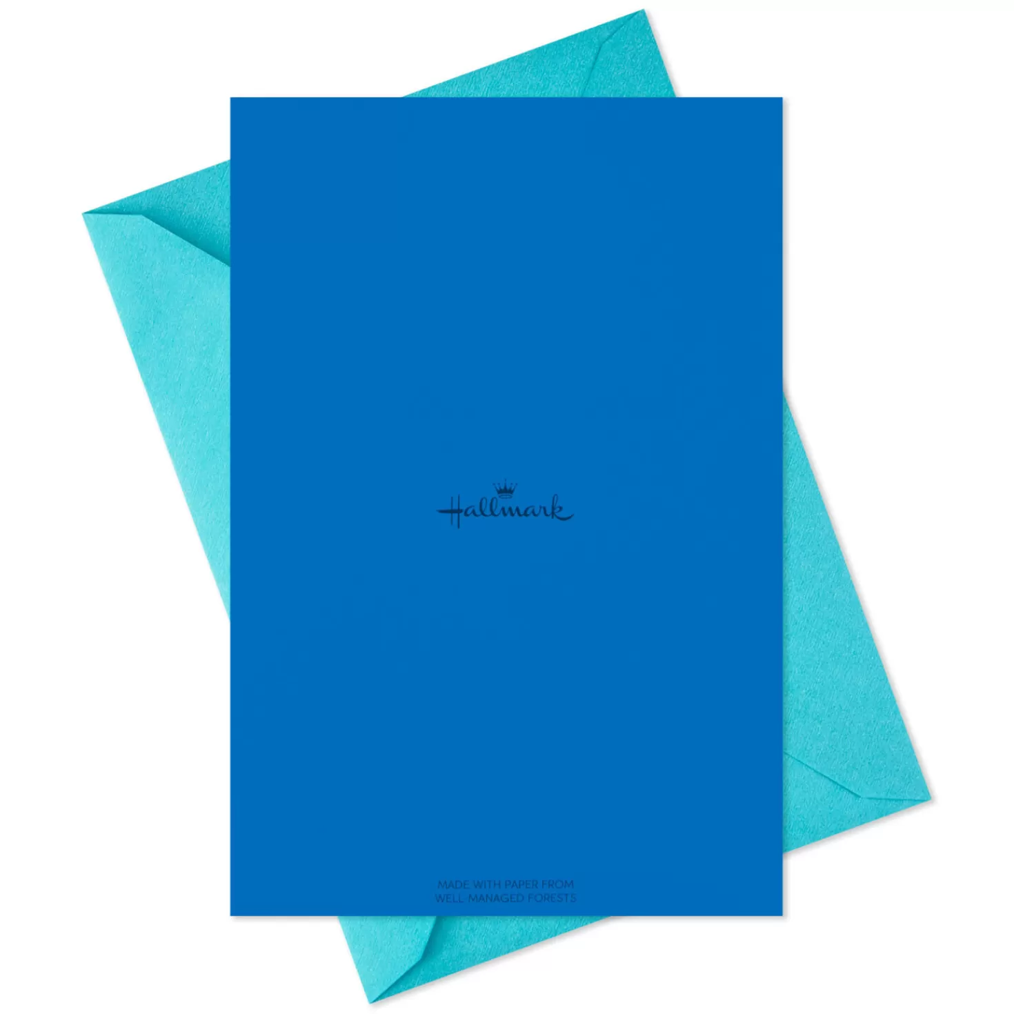 Birthday>Hallmark Cute Animals Assorted Blank Kids Birthday Cards, Pack Of 48
