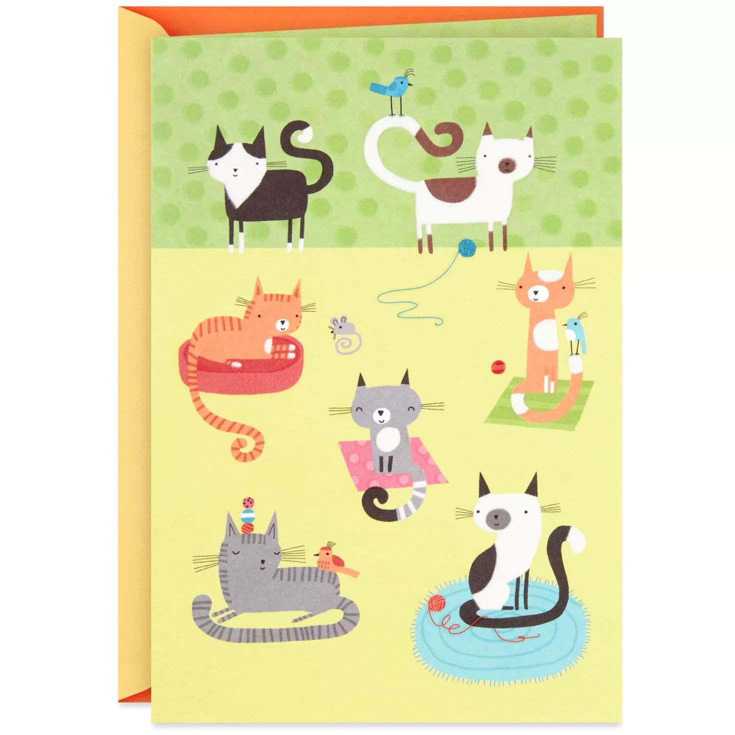 Flash Sale Cute Cats Blank Card Encouragement