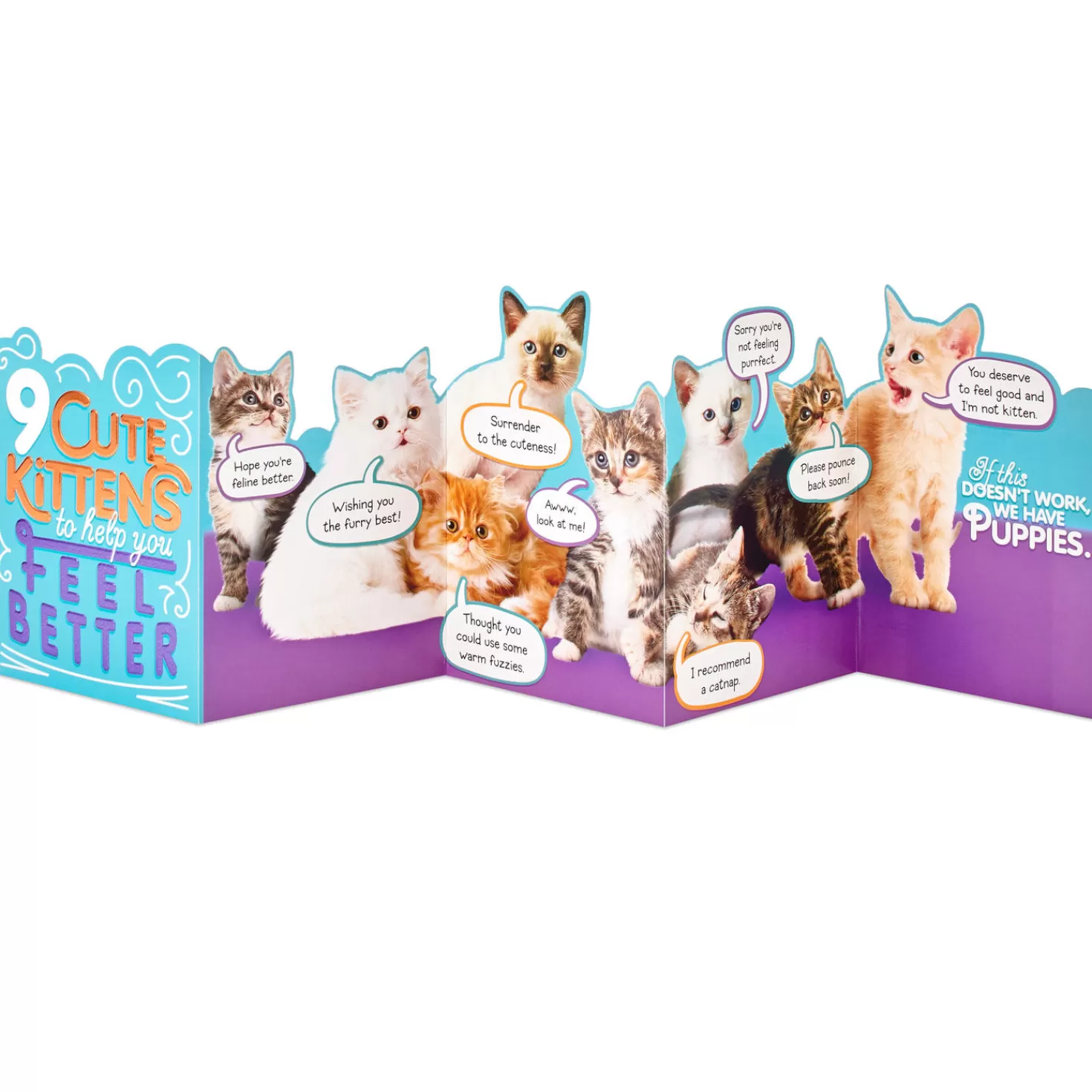Best Cute Kittens Funny Get Well Card Get Well