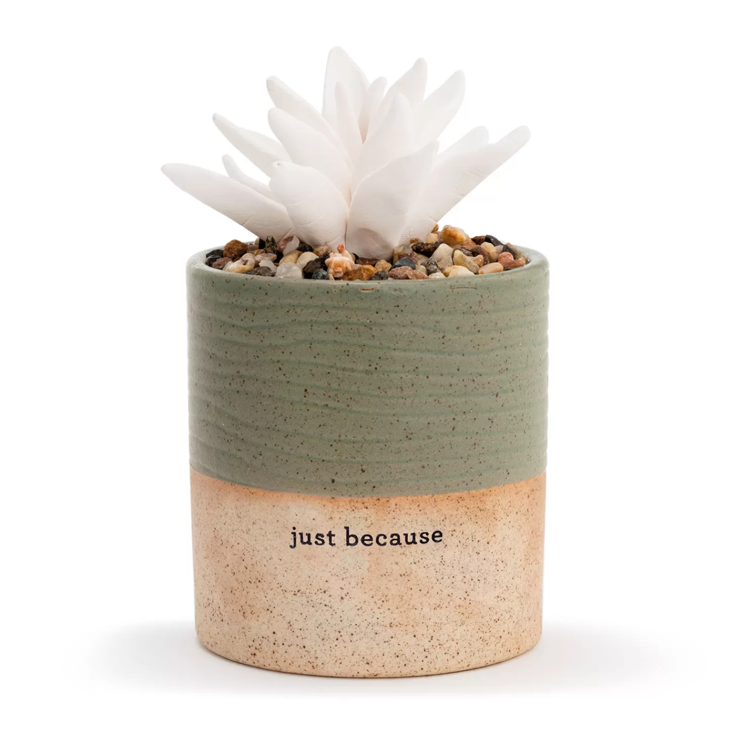 Outlet Demdaco Just Because Succulent Oil Diffuser Sympathy