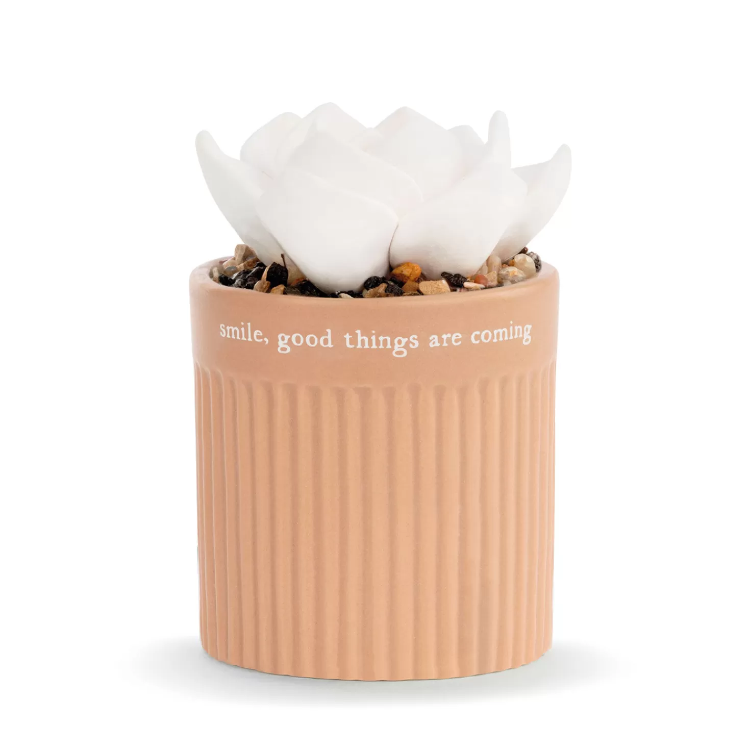 Hot Demdaco Smile Succulent Oil Diffuser Encouragement