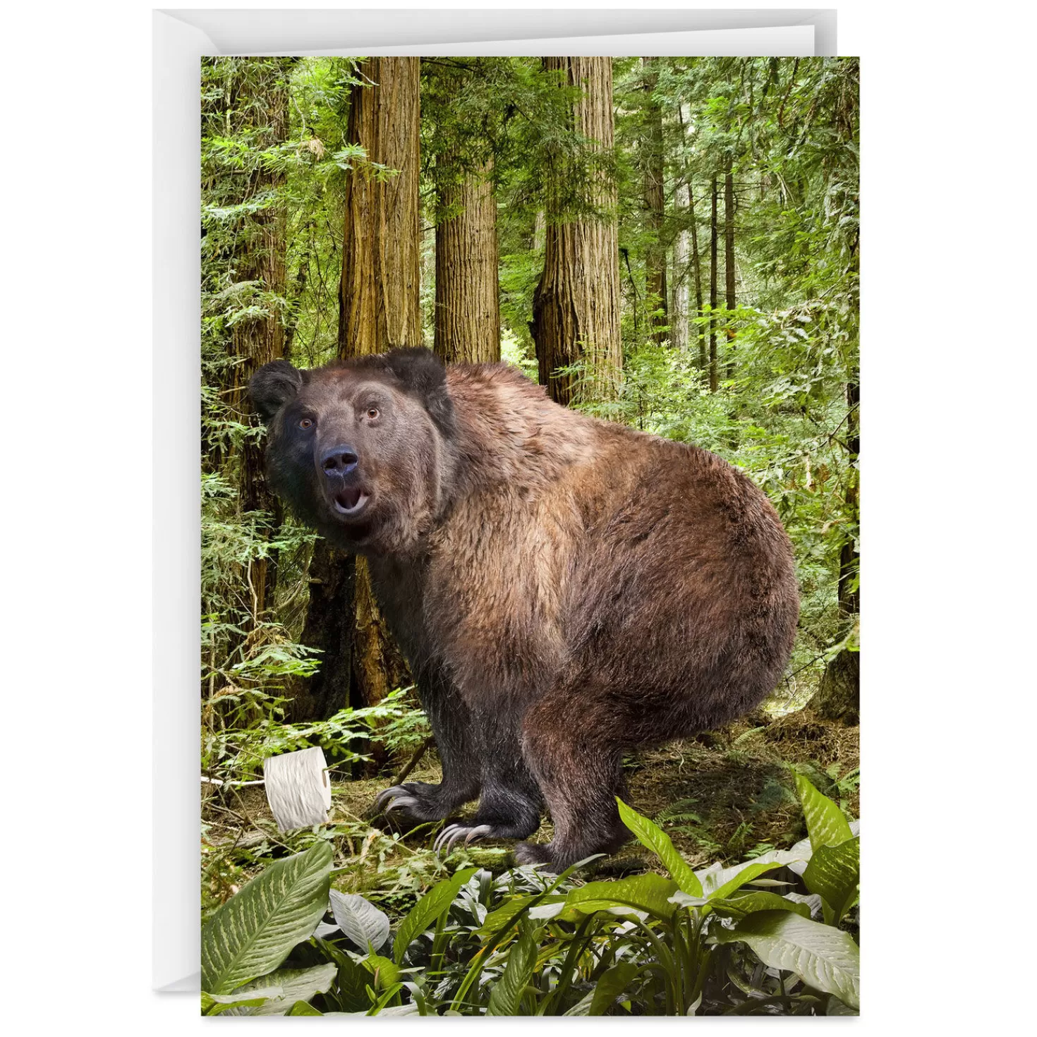 Birthday>Hallmark Do Whatever You Want On Your Birthday Funny Birthday Card
