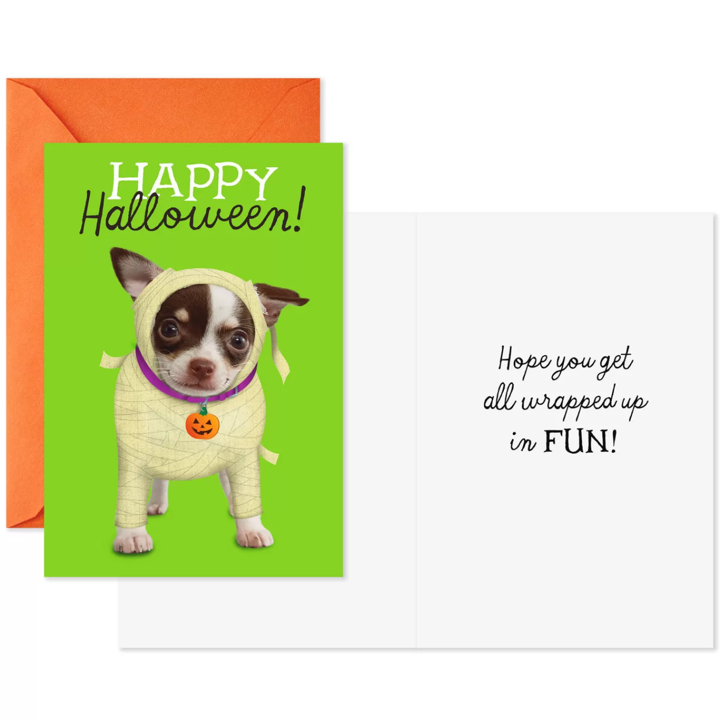Halloween (10/31)>Hallmark Dogs And Cats In Costume Assorted Halloween Cards, Pack Of 8