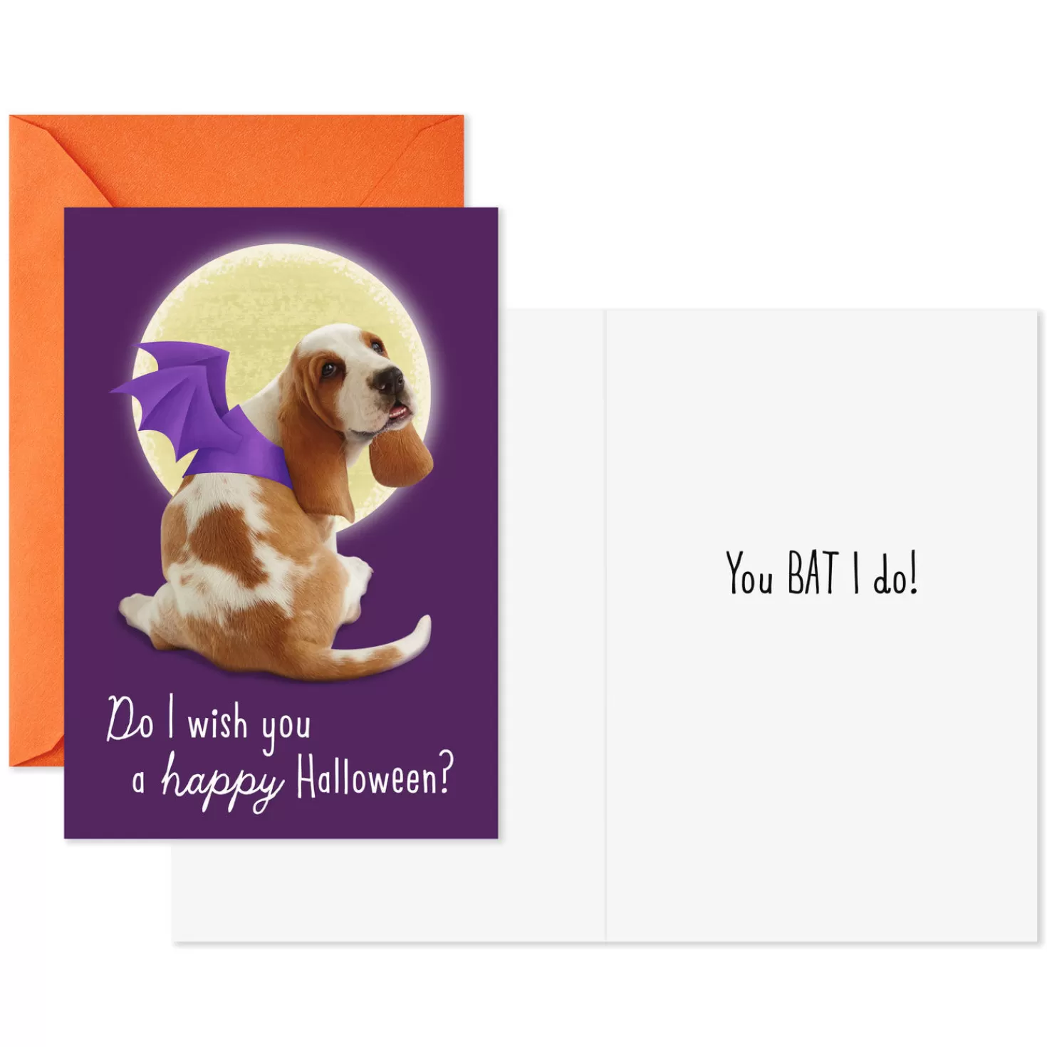 Halloween (10/31)>Hallmark Dogs And Cats In Costume Assorted Halloween Cards, Pack Of 8