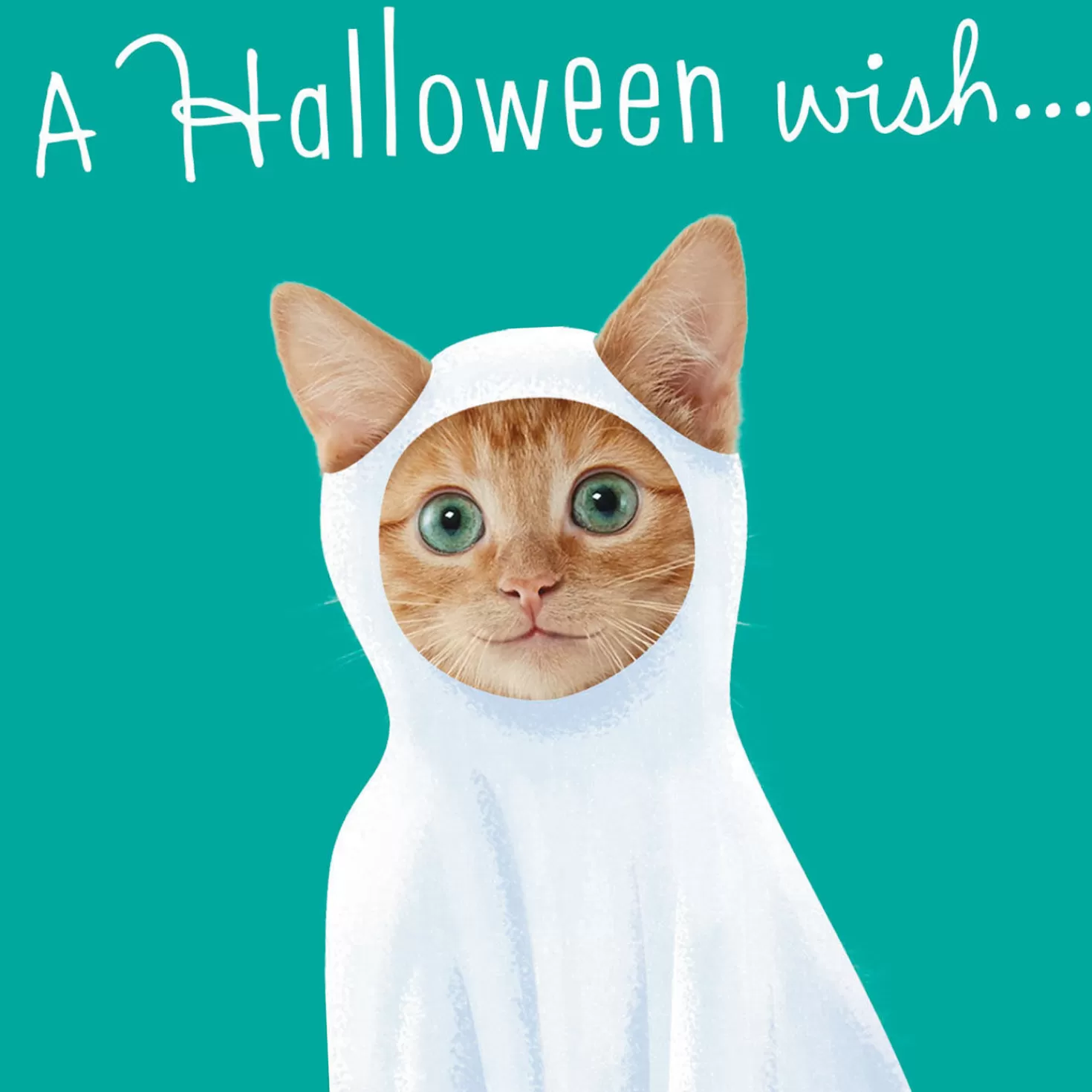 Halloween (10/31)>Hallmark Dogs And Cats In Costume Assorted Halloween Cards, Pack Of 8