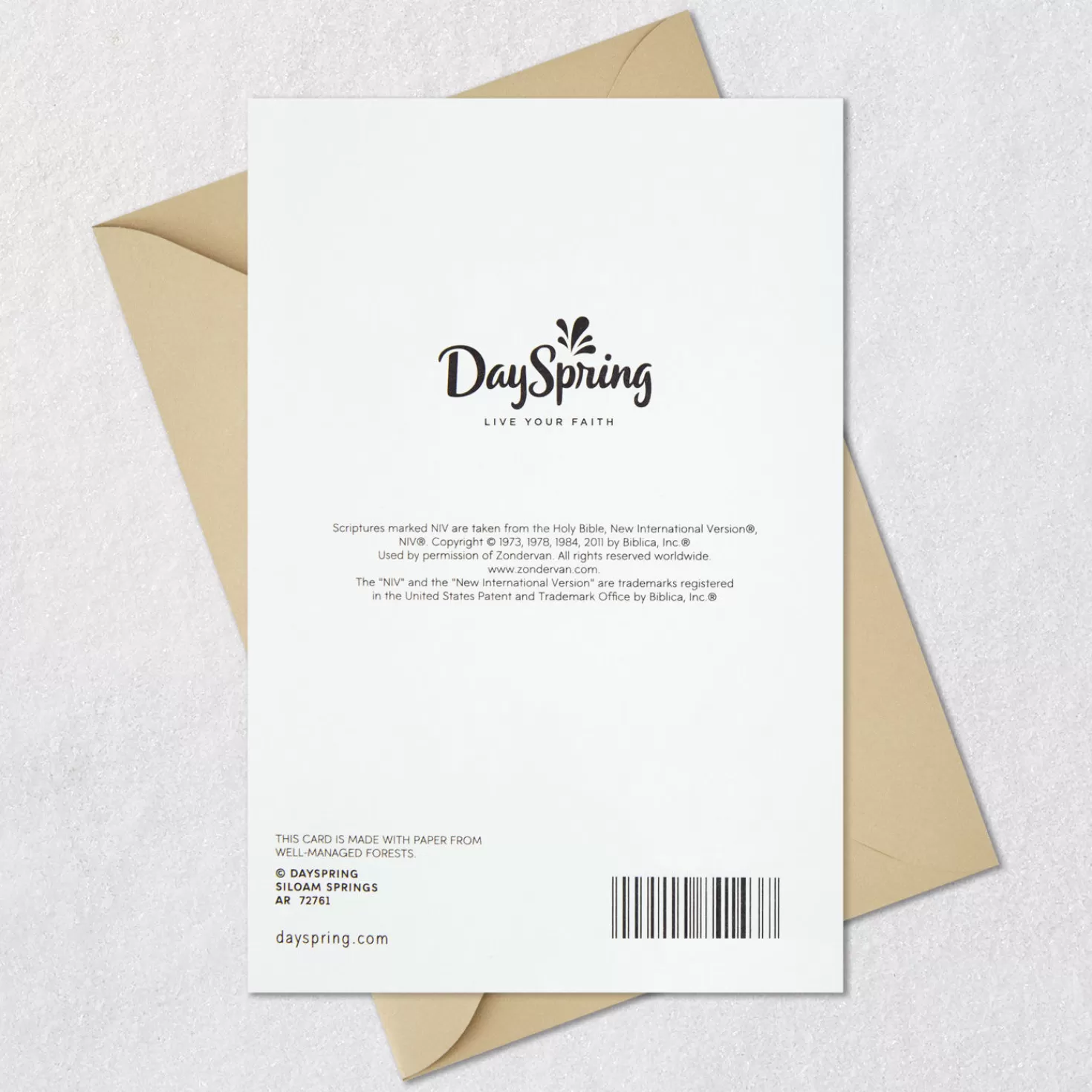 Outlet Dragonfly And Dandelions Religious Sympathy Card For Loss Of Child Sympathy