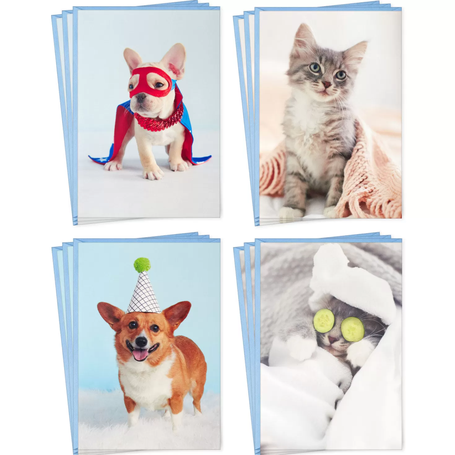 Birthday>Hallmark Dynamic Dogs And Cats Boxed Blank Cards Assortment, Pack Of 12