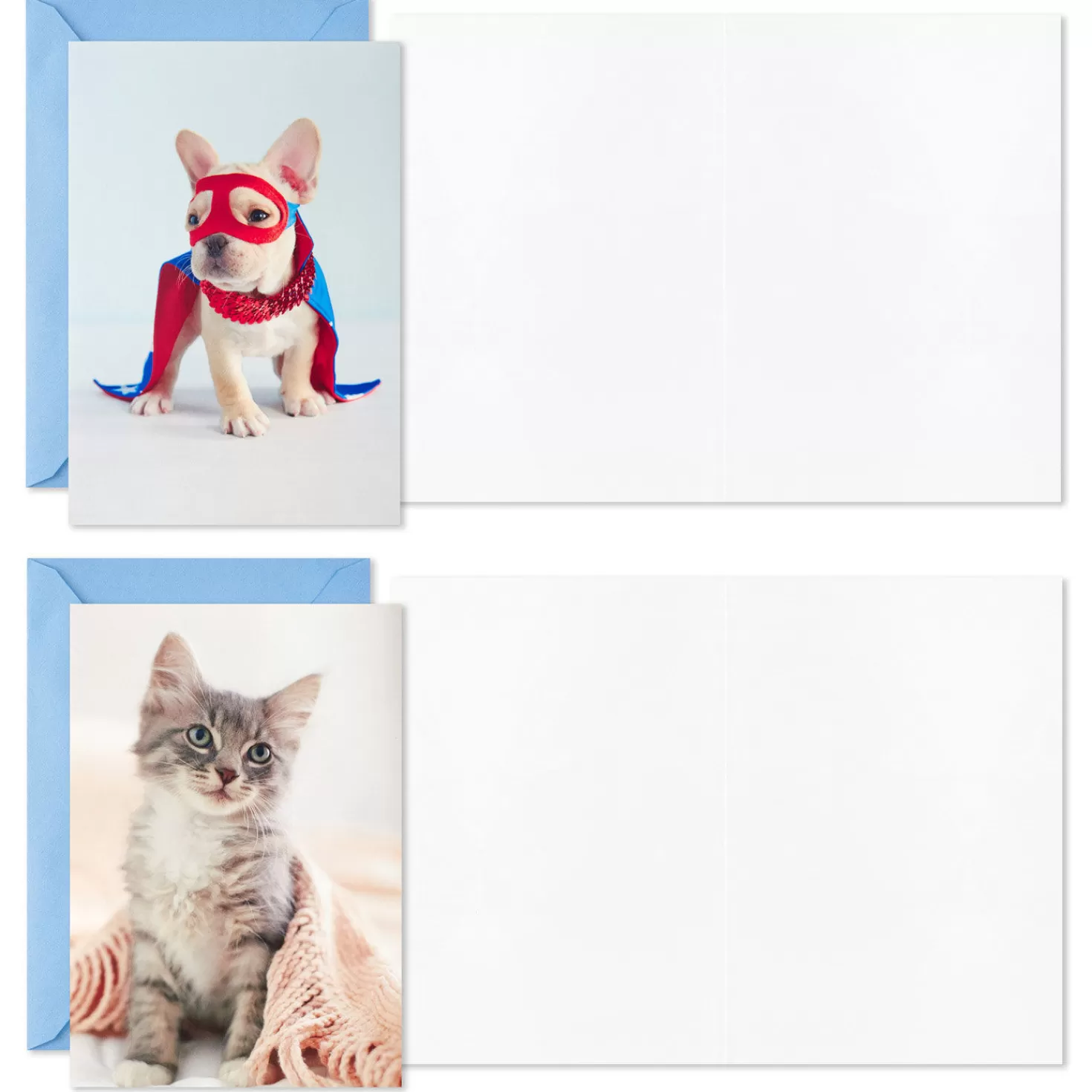Birthday>Hallmark Dynamic Dogs And Cats Boxed Blank Cards Assortment, Pack Of 12