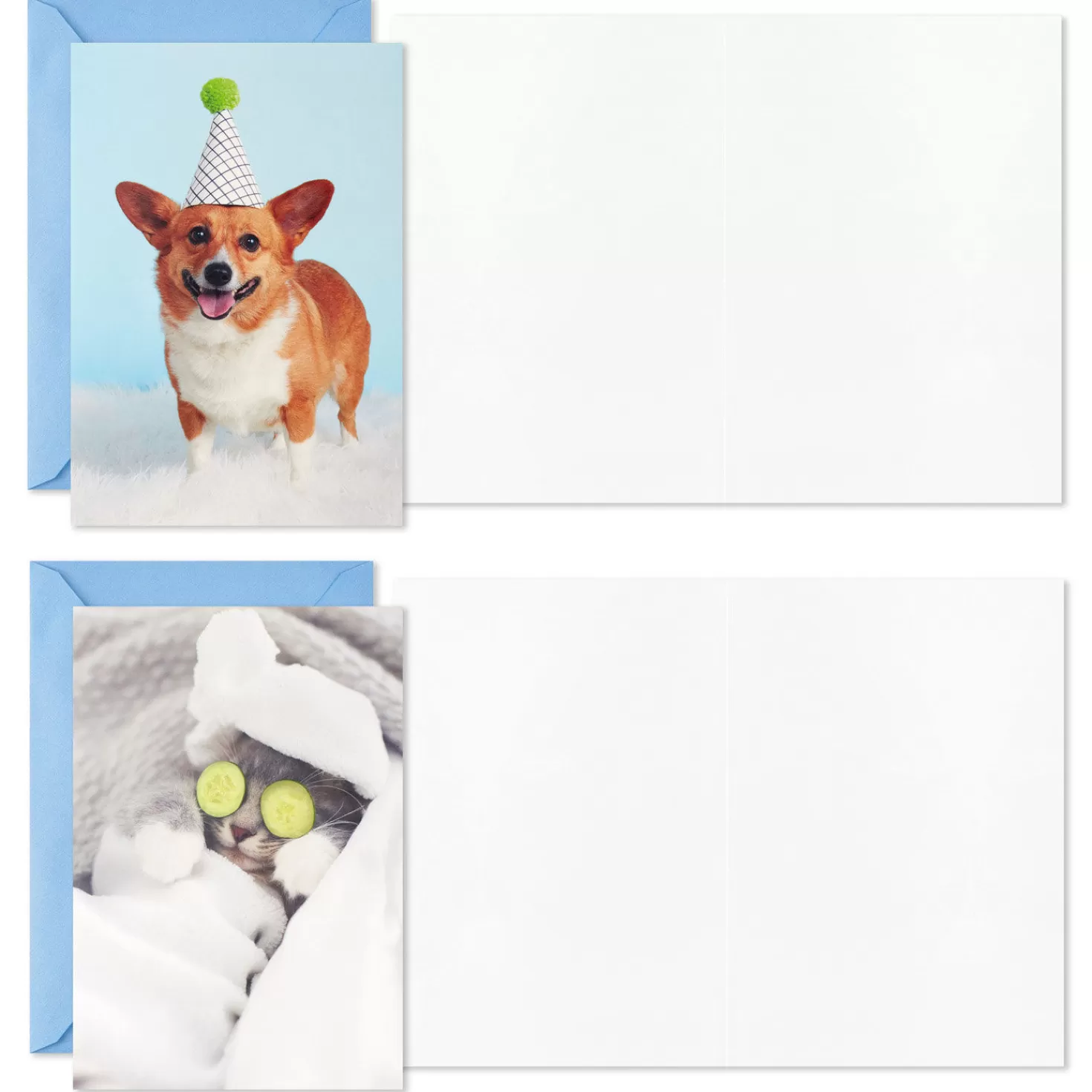 Birthday>Hallmark Dynamic Dogs And Cats Boxed Blank Cards Assortment, Pack Of 12