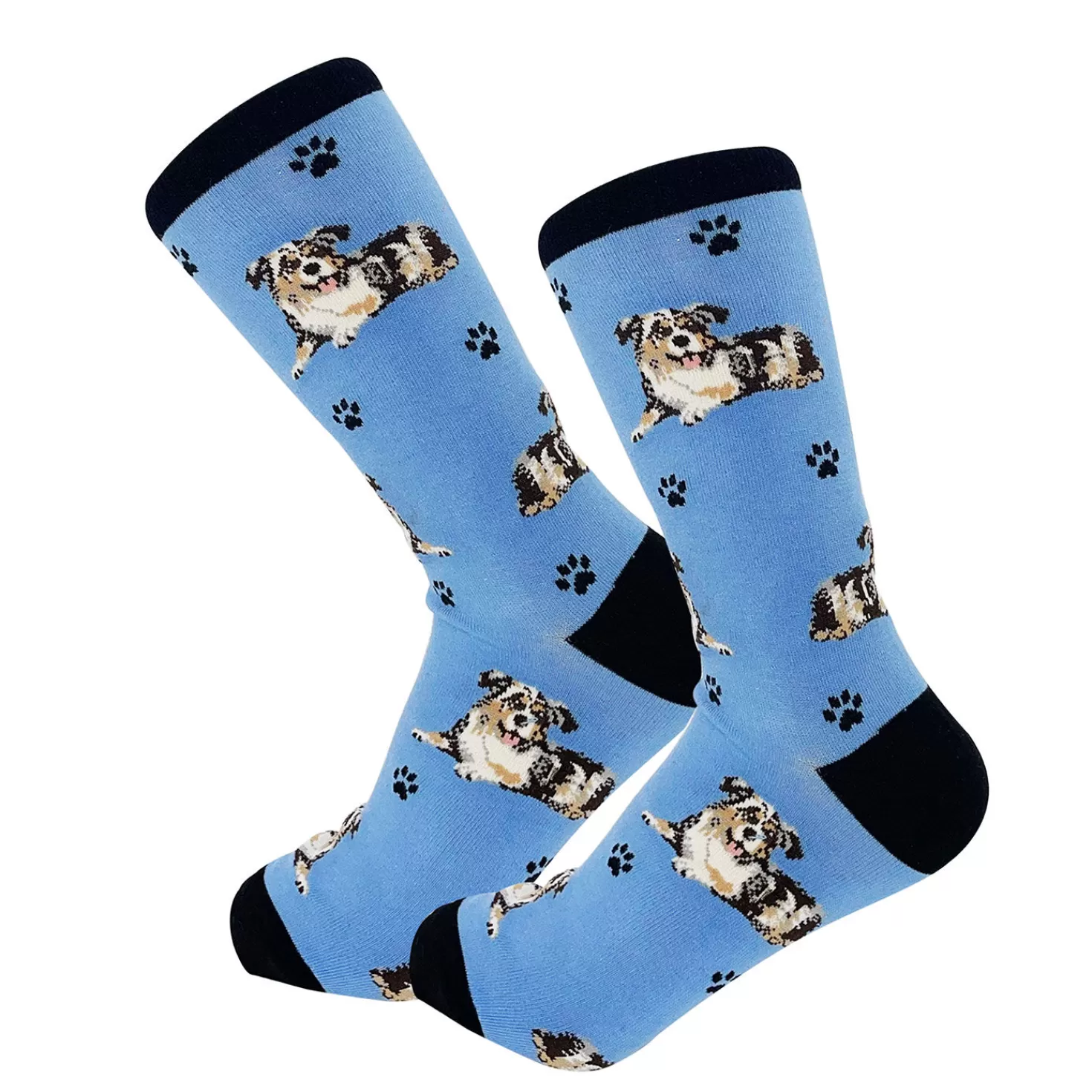 Best E&S Pets Australian Shepherd Novelty Crew Socks Congratulations