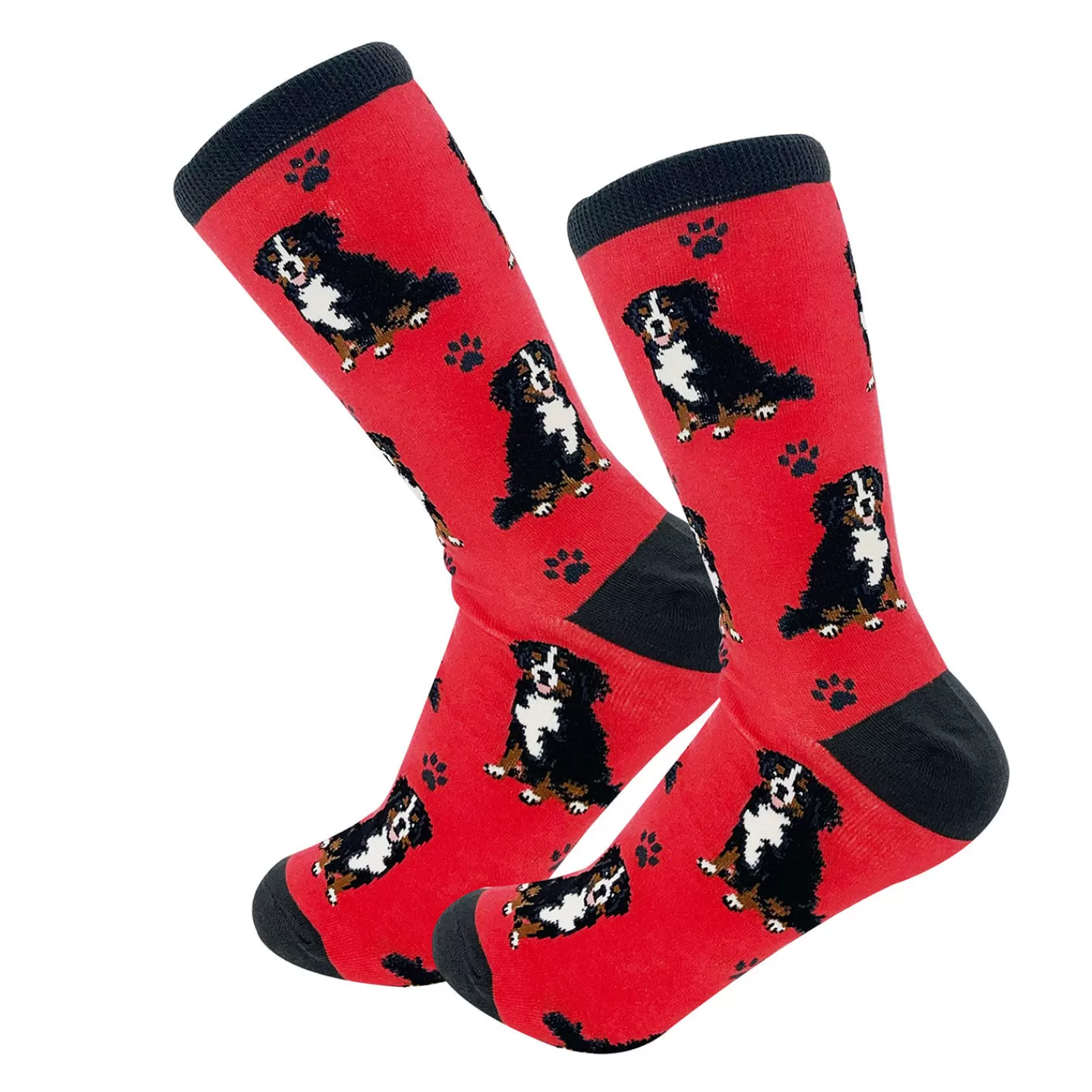Online E&S Pets Bernese Mountain Dog Novelty Crew Socks Congratulations