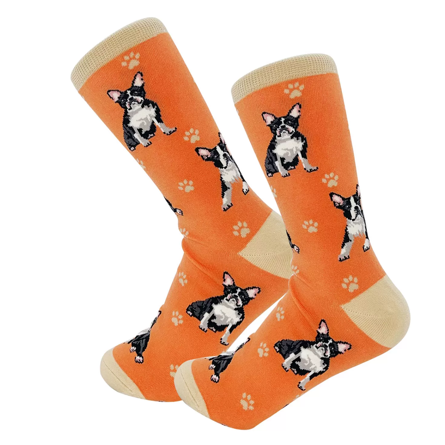 Clearance E&S Pets Boston Terrier Novelty Crew Socks Congratulations
