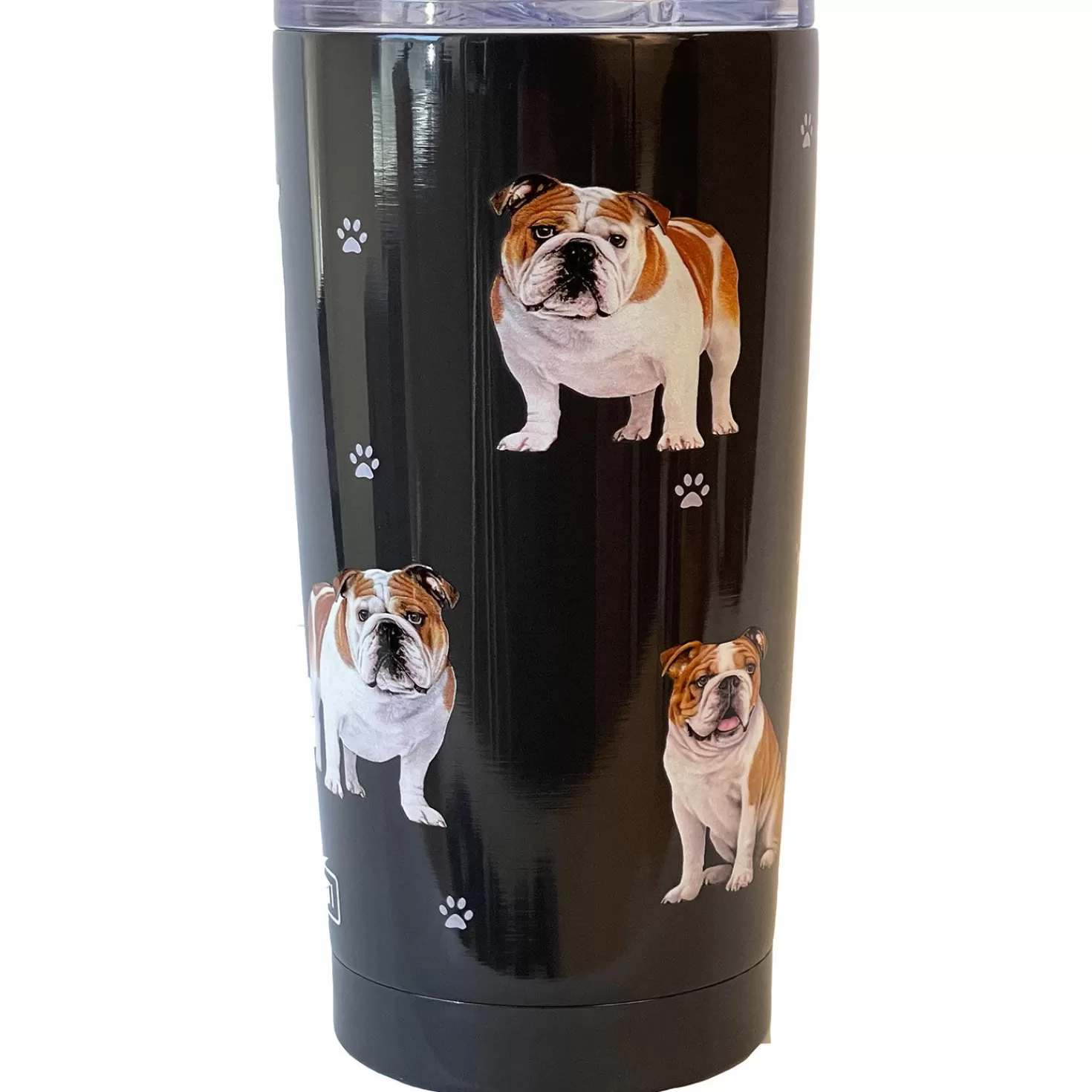 Cheap E&S Pets Bulldog Stainless Steel Tumbler, 20 Oz. Congratulations